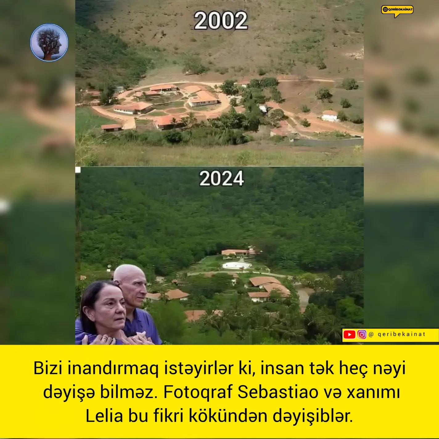 @qeribekainat