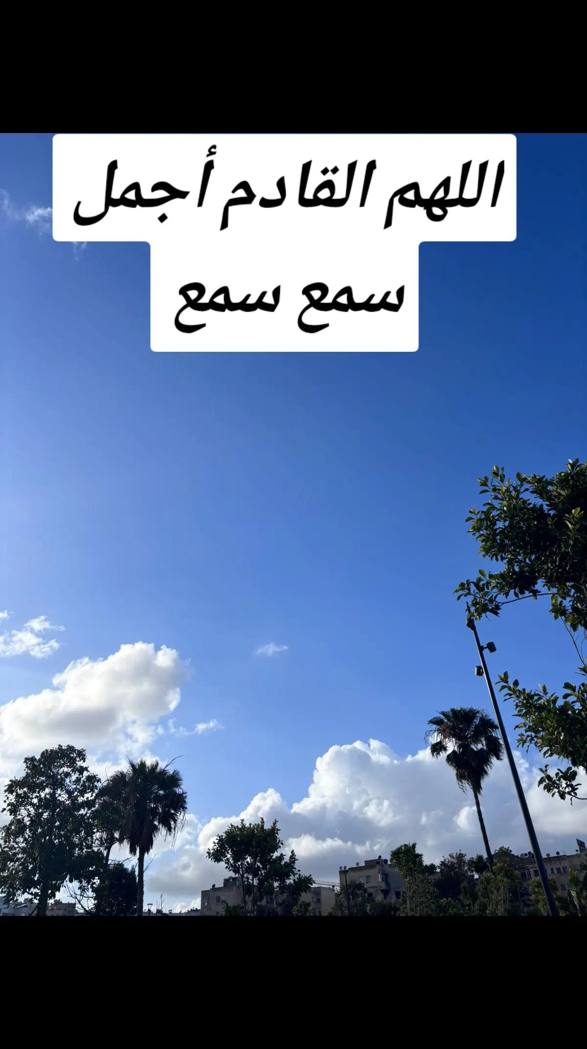 @ياسمين التيكتوك