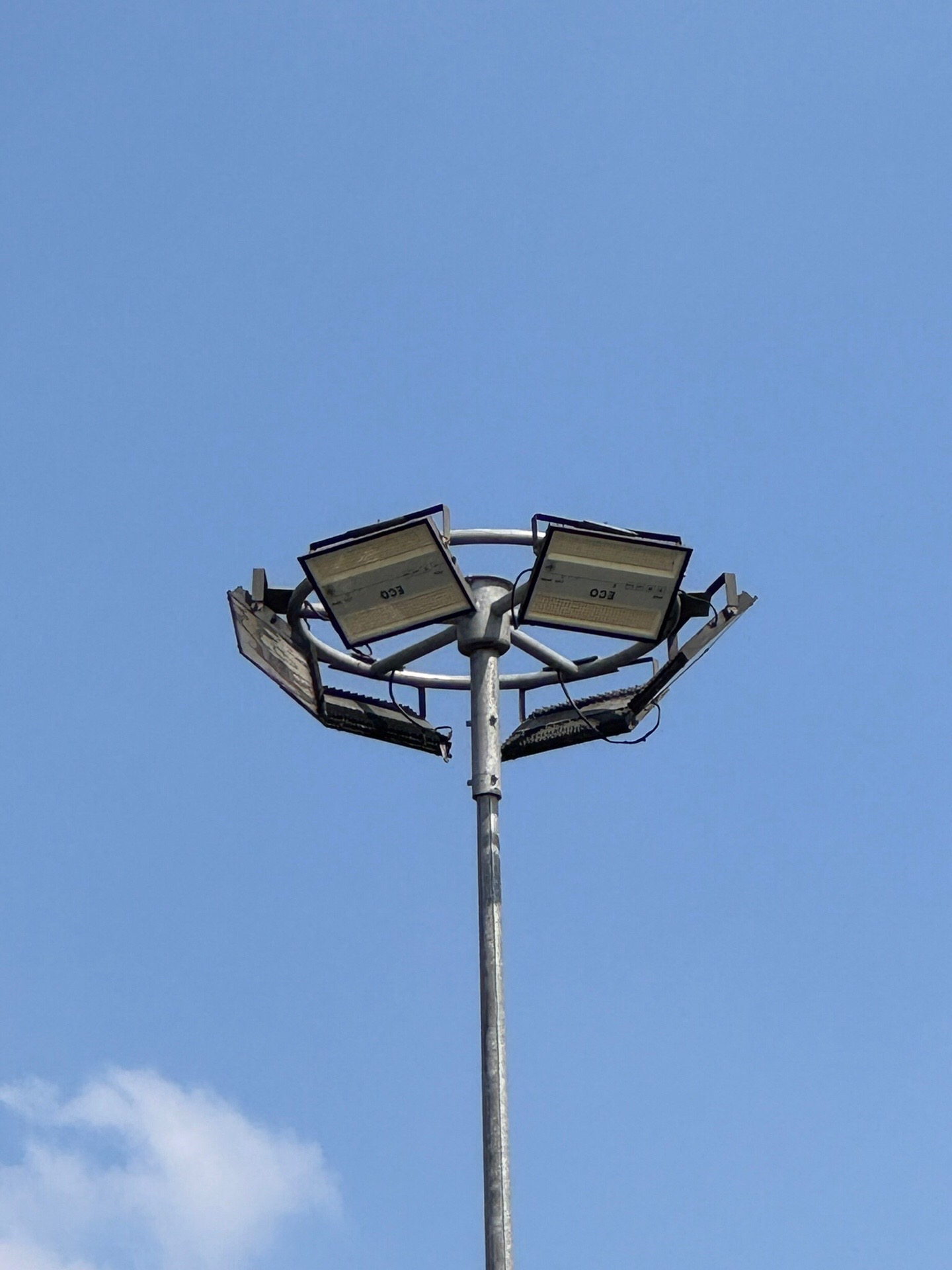 @Bingođ