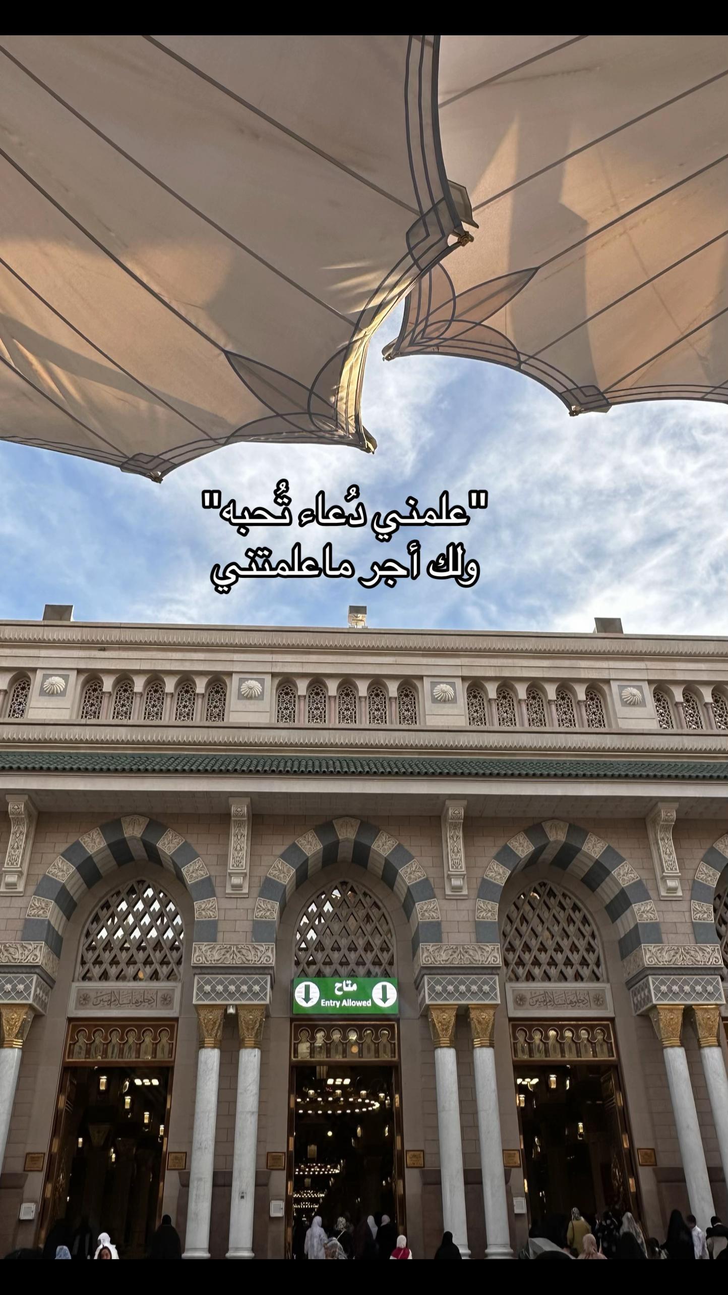 @متطوعة | المدينة المنورة 🕌