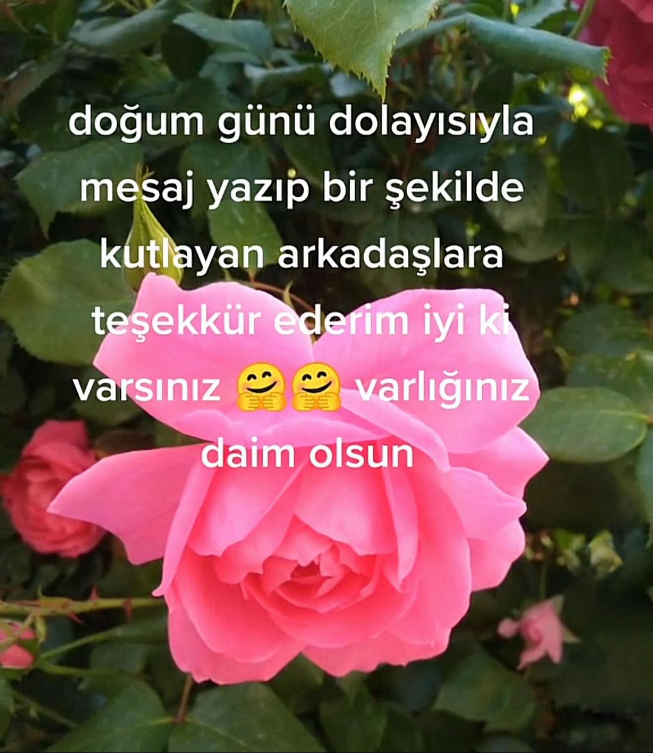 @Avaşin