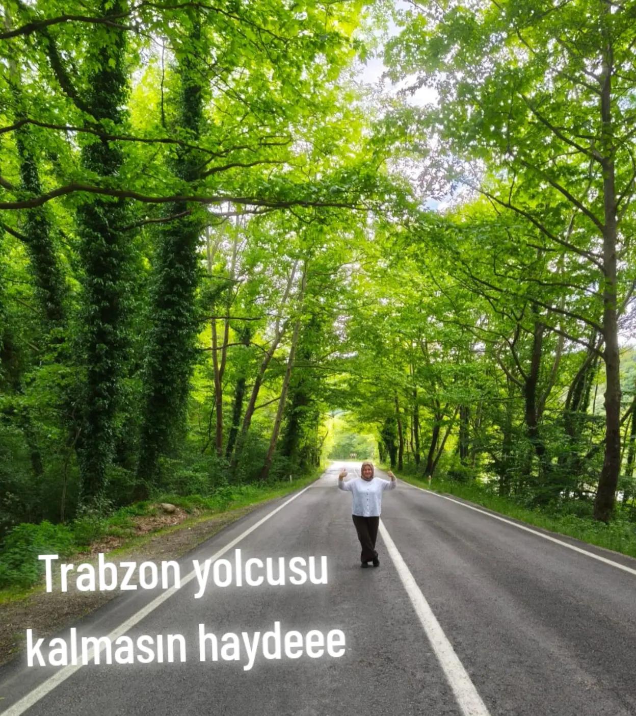 @AYPARCASI