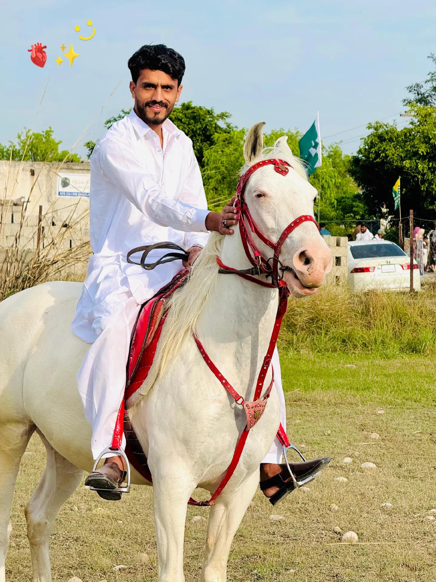 @چوہدری سعد ھزاری آلا🙋