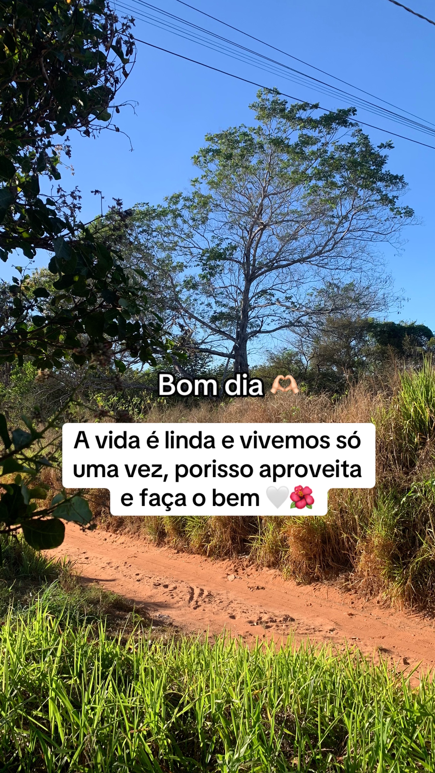 @Entre Laços