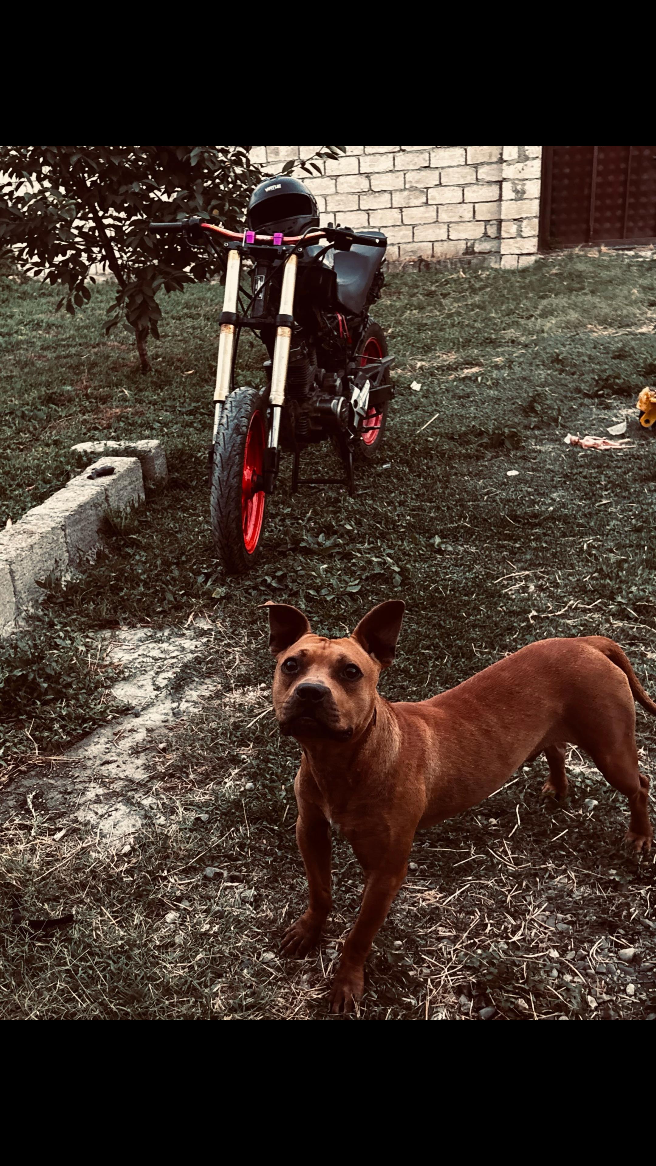 @Joker_pit8