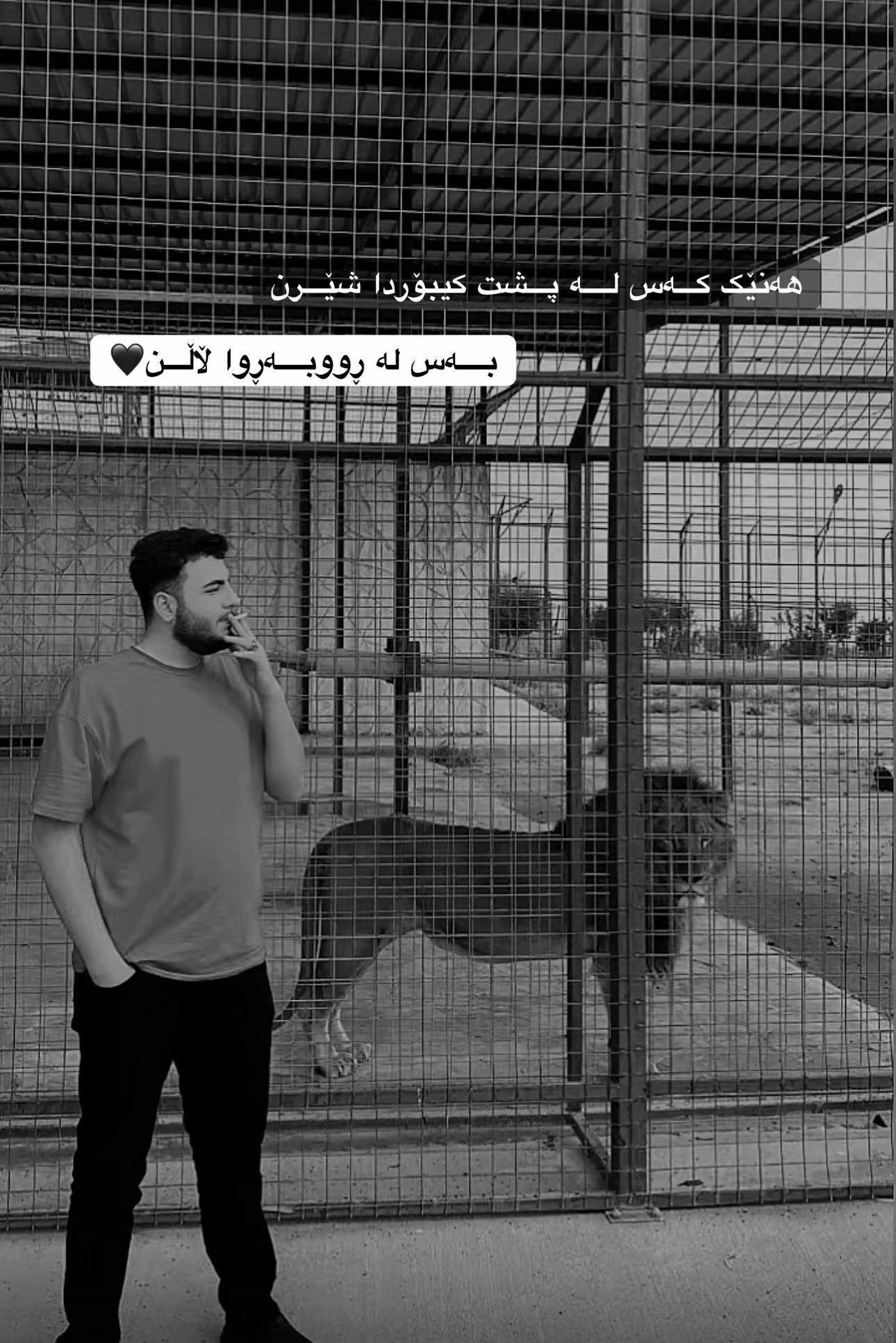 @دێنڤیل | denvil