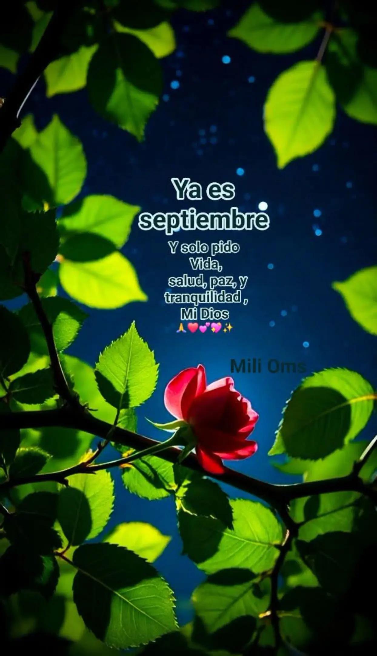 @FABI.GIM.13