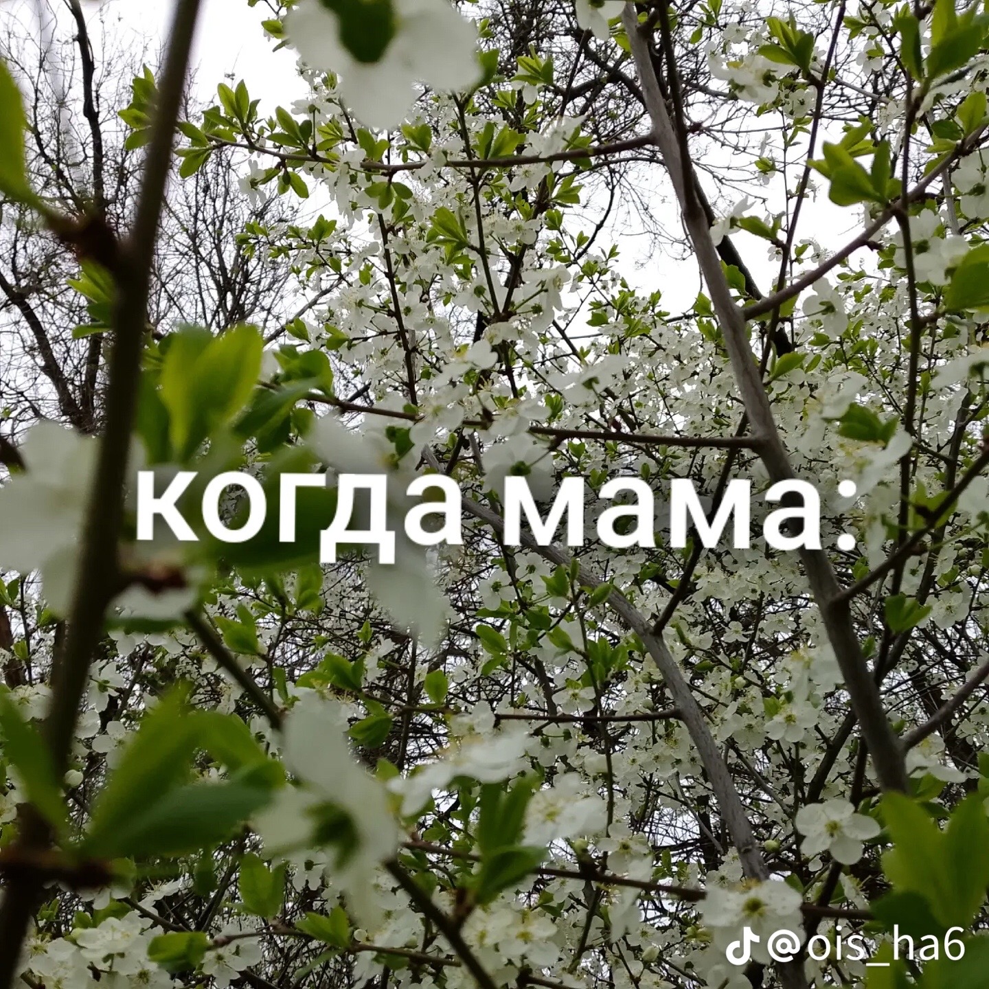 @А_н_ю_т_а🫦😍💋