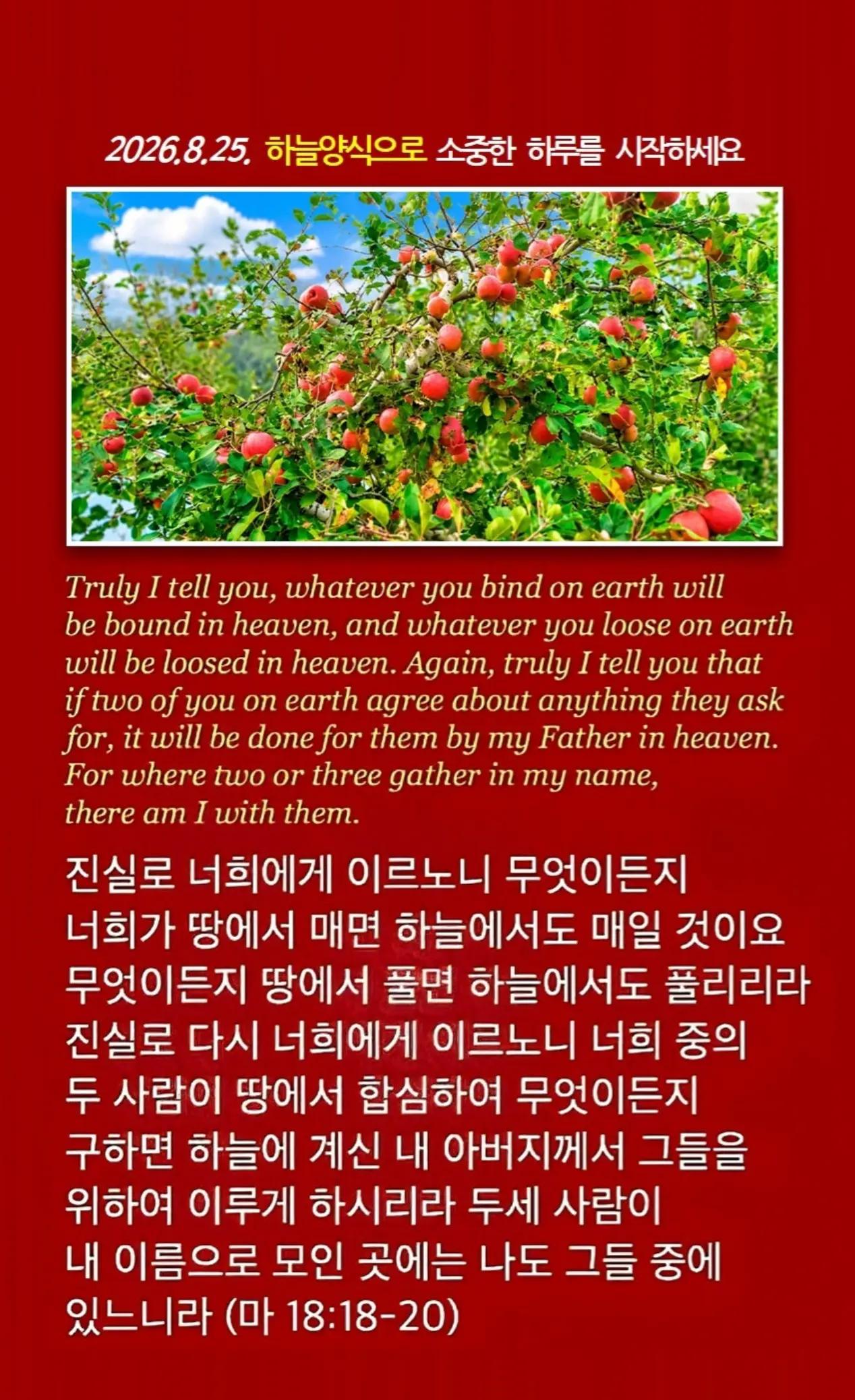 @피켓전도 김종일 목사
