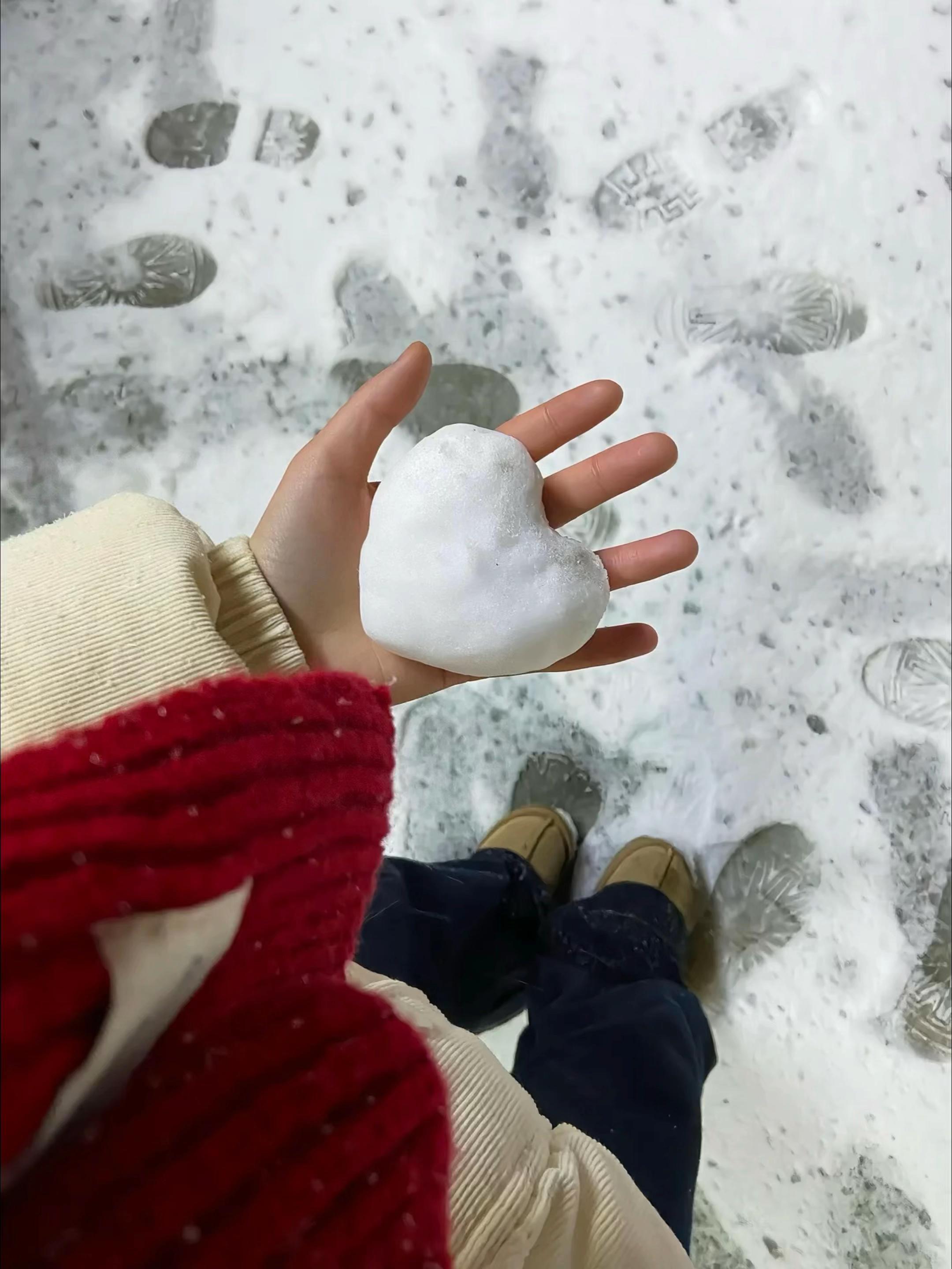 @hani 🧸ིྀ