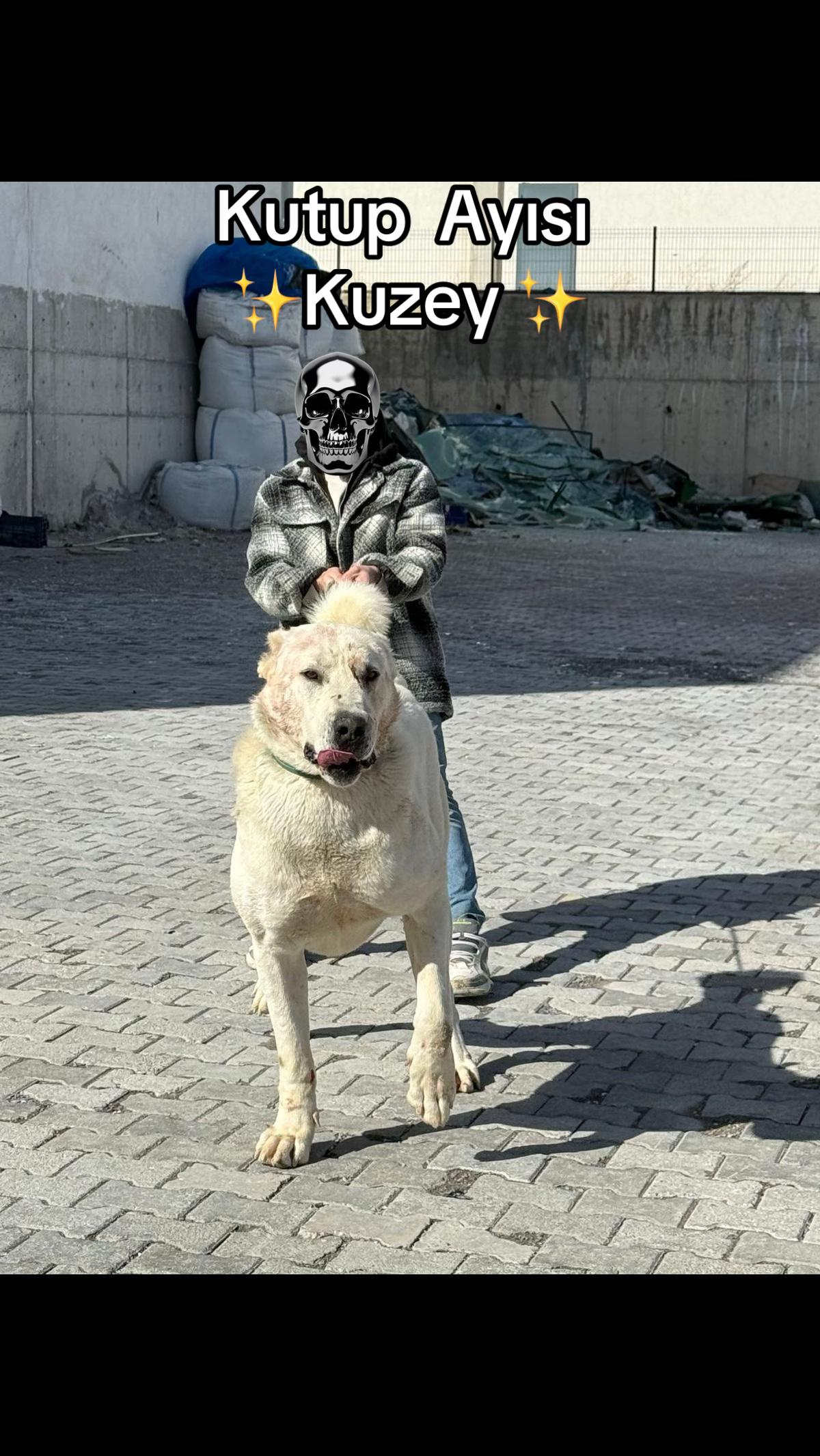 @Sivaslı
