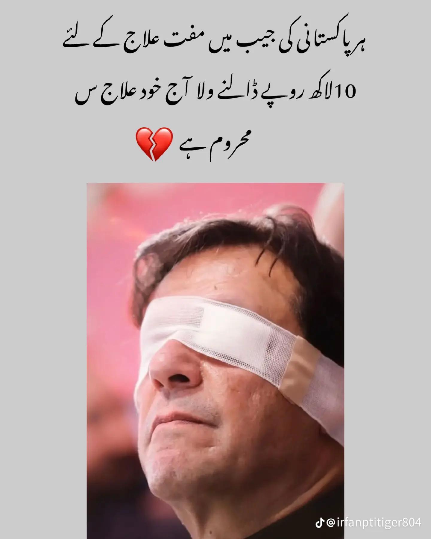 @معین