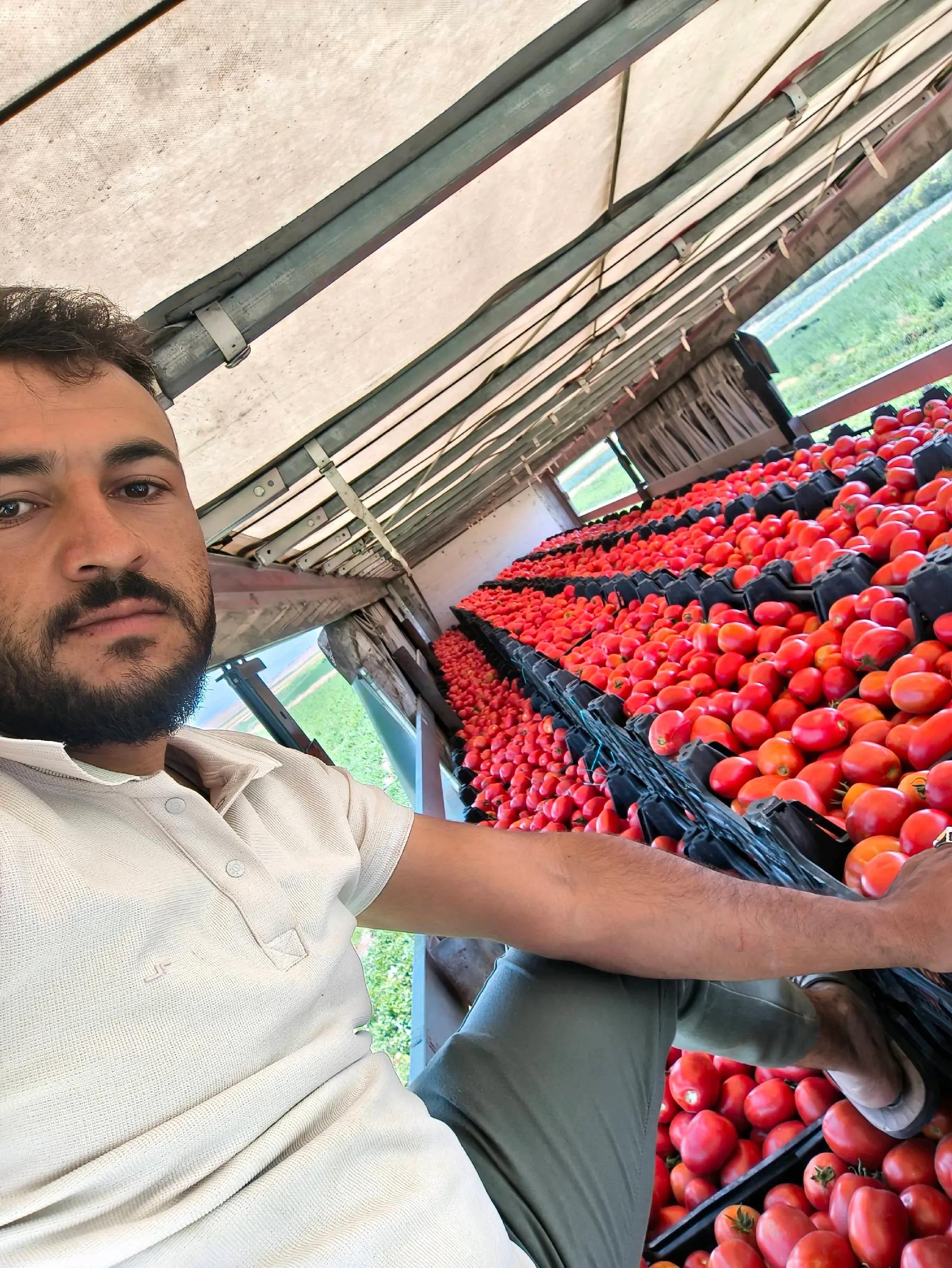 @mahmut çavuş