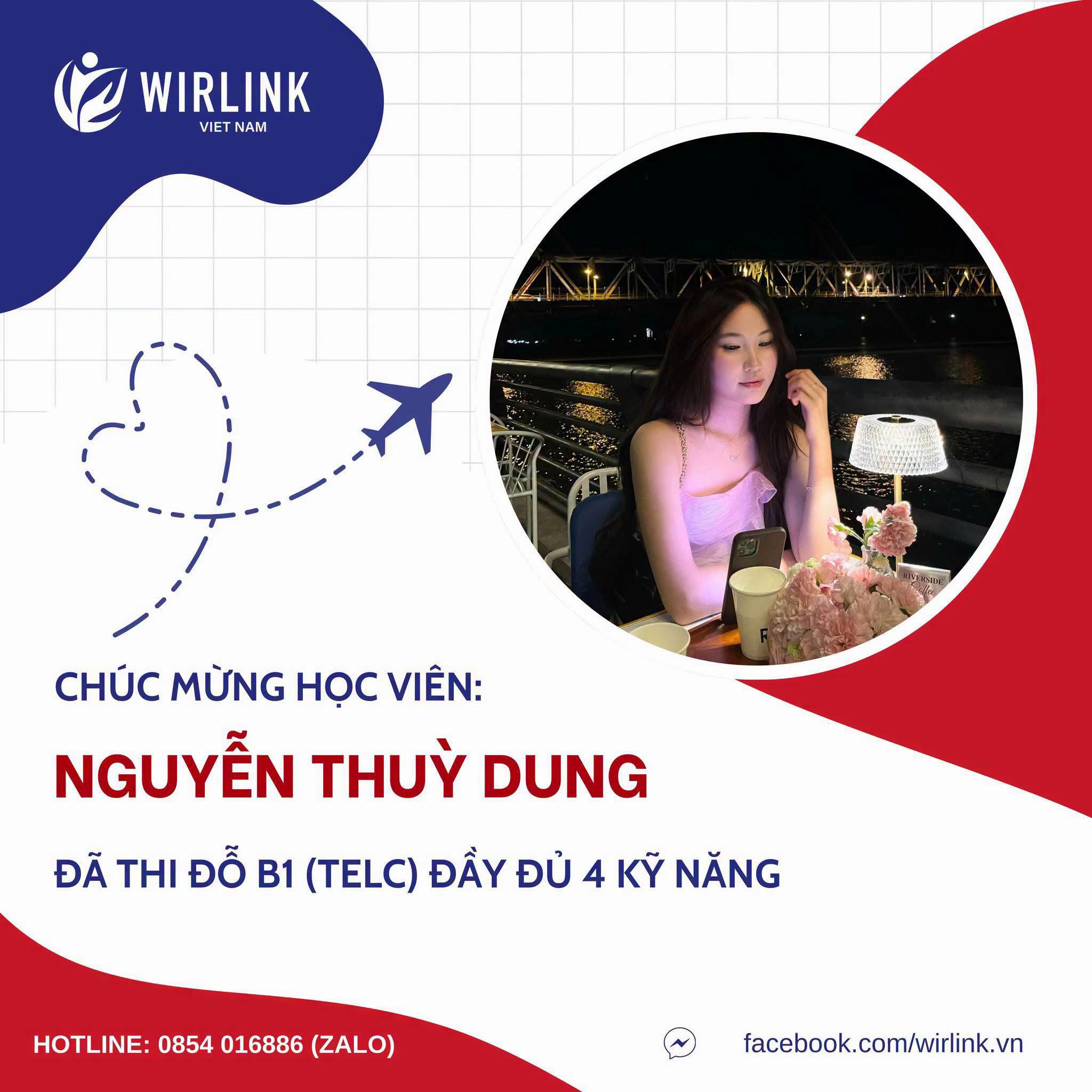 @WirLink Việt Nam