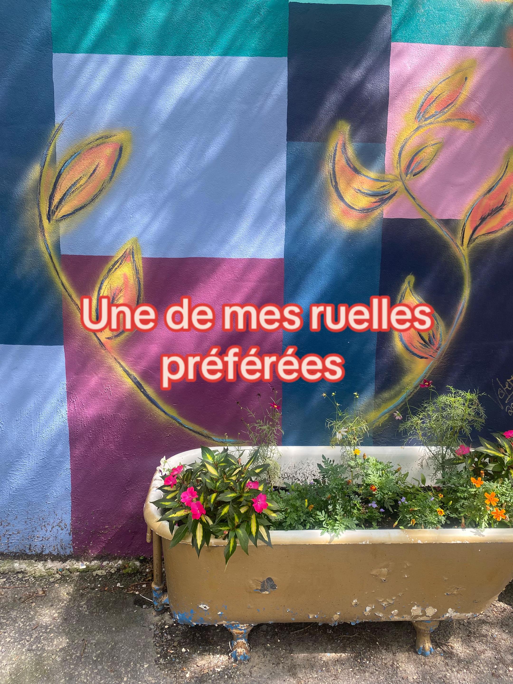 @bibliolibre