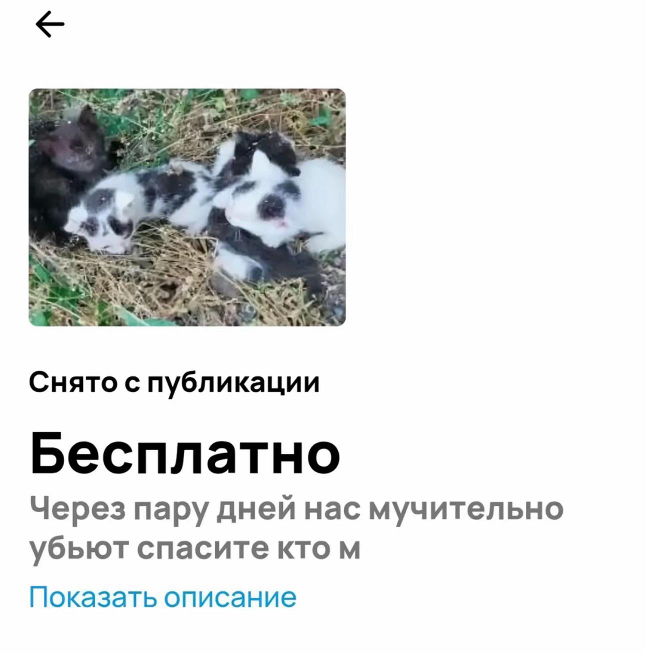 @День под героином