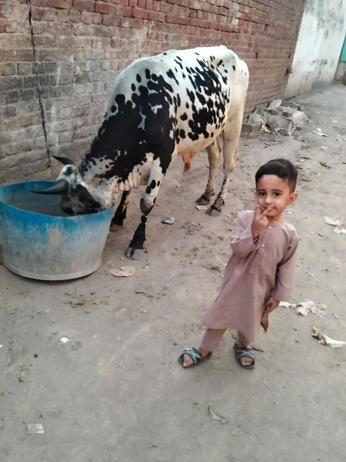 @UmAiR RaجPöôT