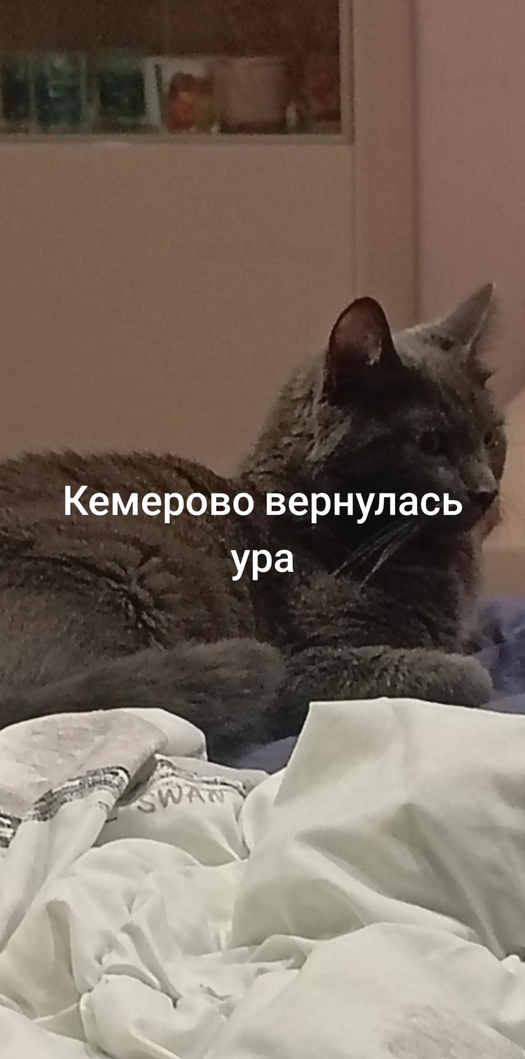 @KEMEROVO