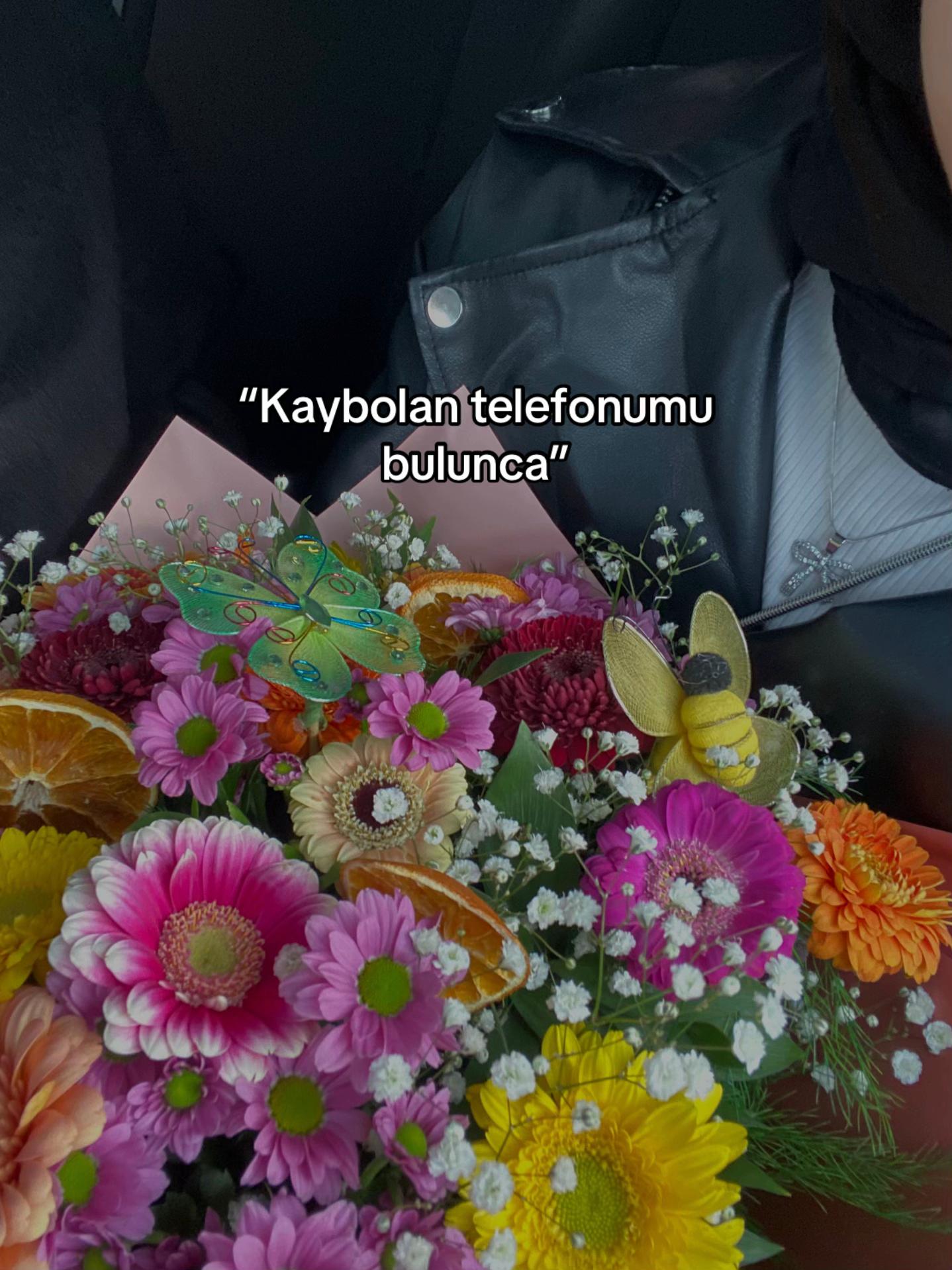 @seher