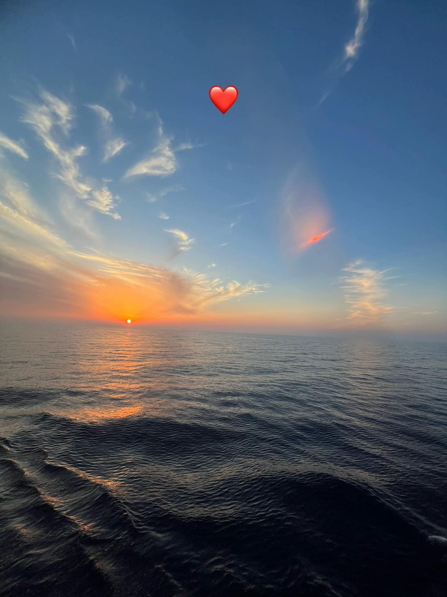 @LouEy 24 🕊🩶
