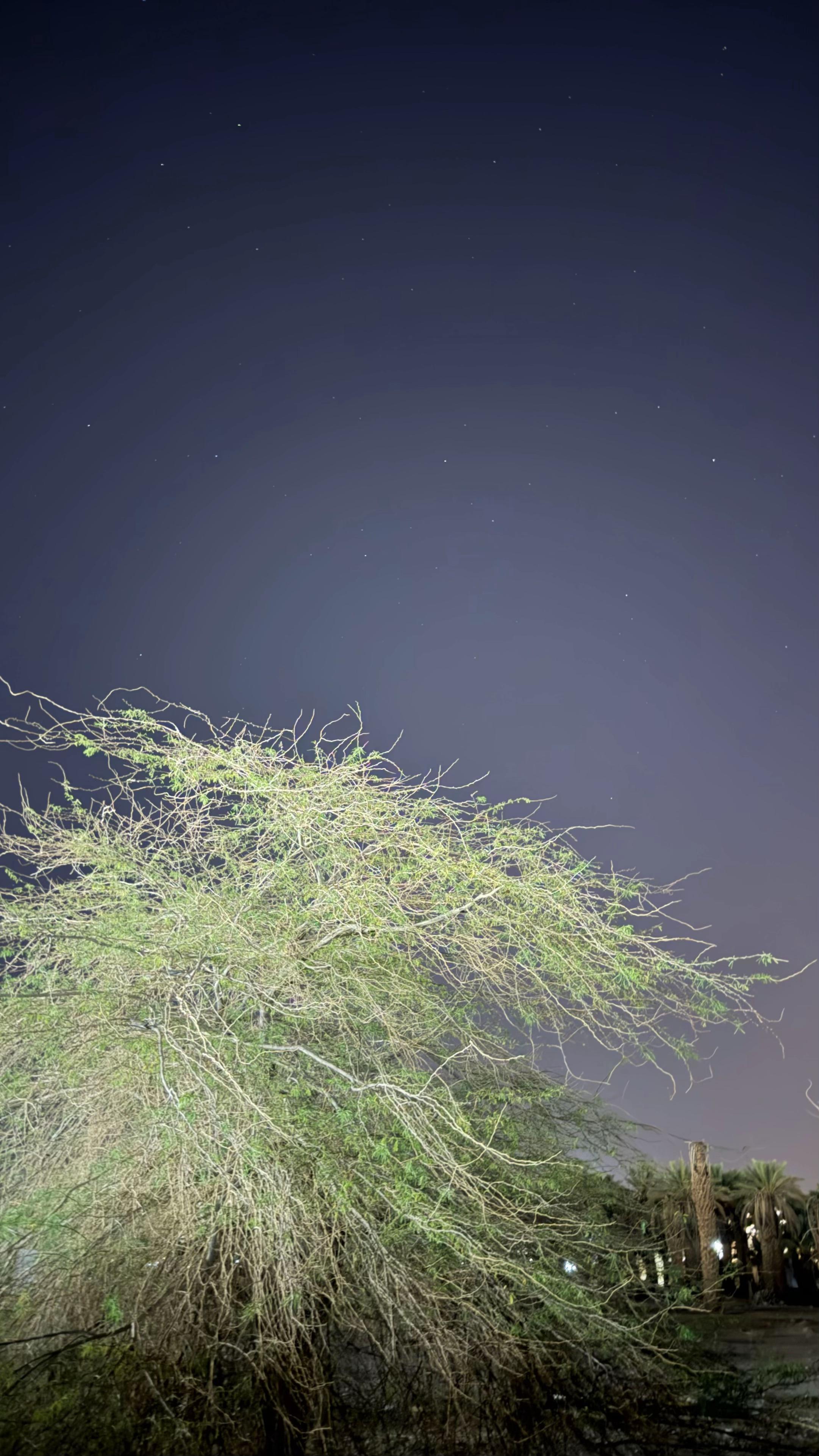 @يــــــزن | Yazan