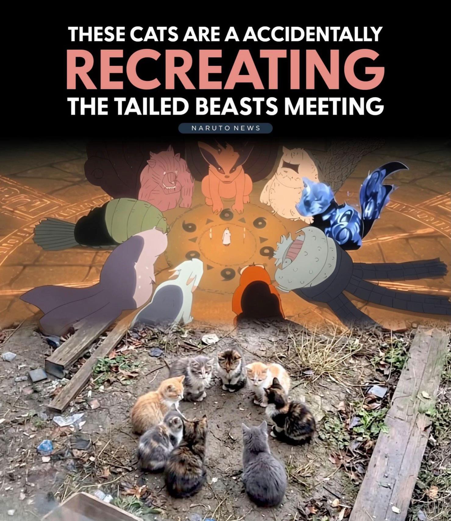 @𝗔𝗡𝗨𝗕𝗜𝗦