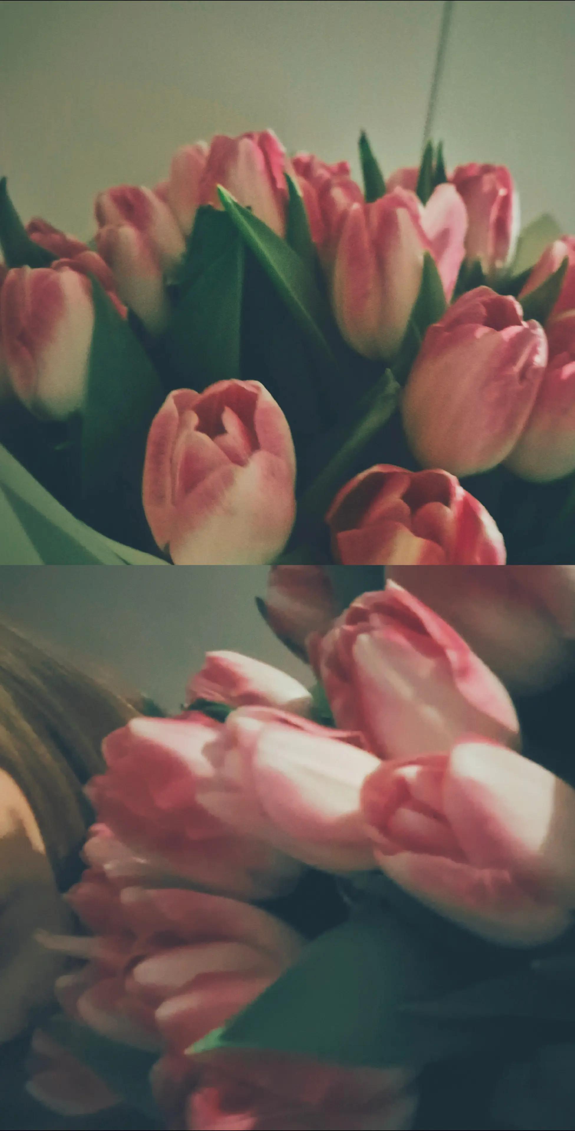 @𝒌𝒓𝒚𝒍𝒐𝒗𝒂