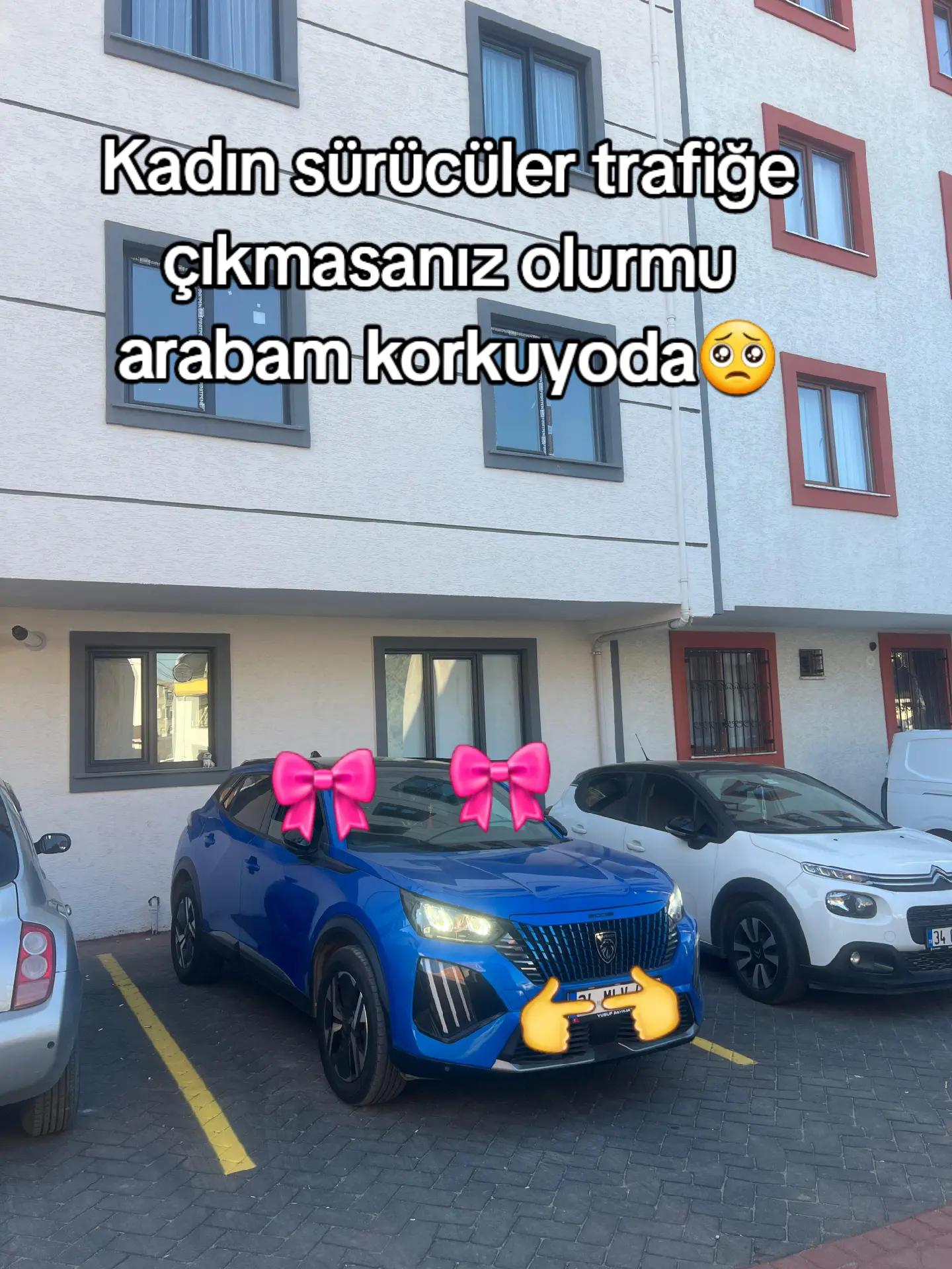 @Y.B