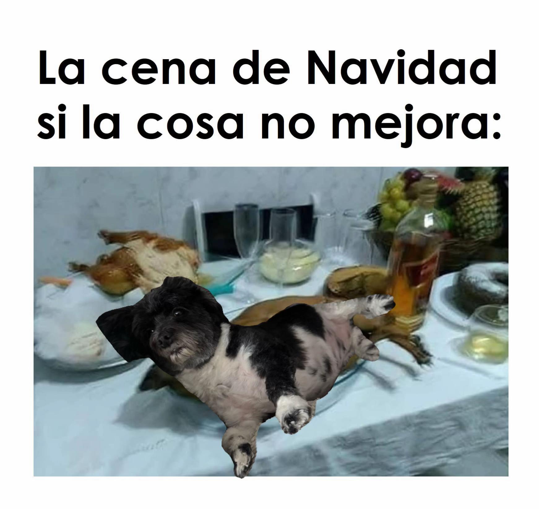 @Viviana David