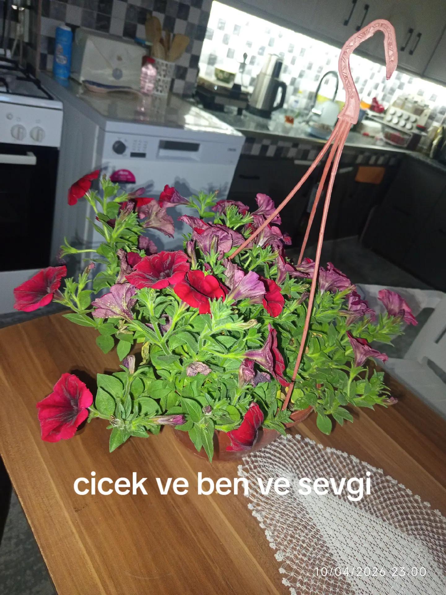 @Engelsiz Yaşam