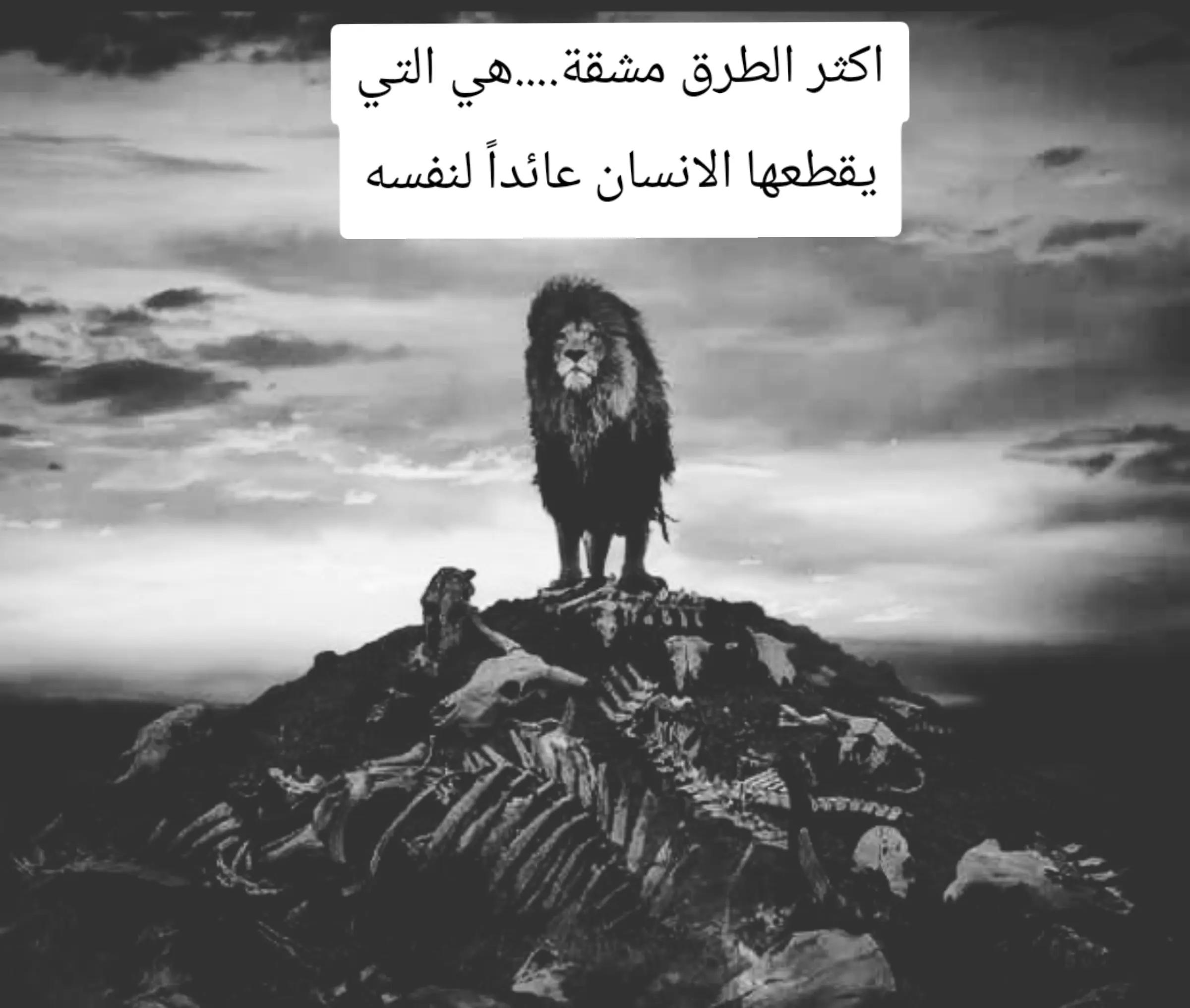 @🦁 scarface 🦁