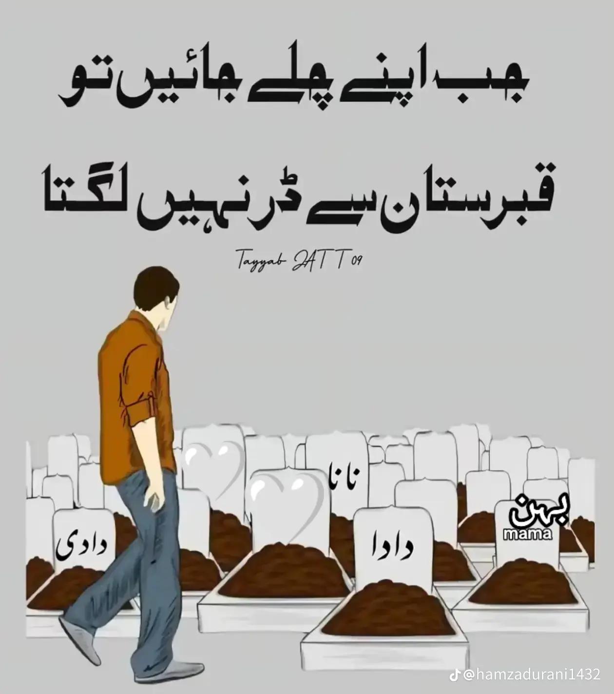 @jani