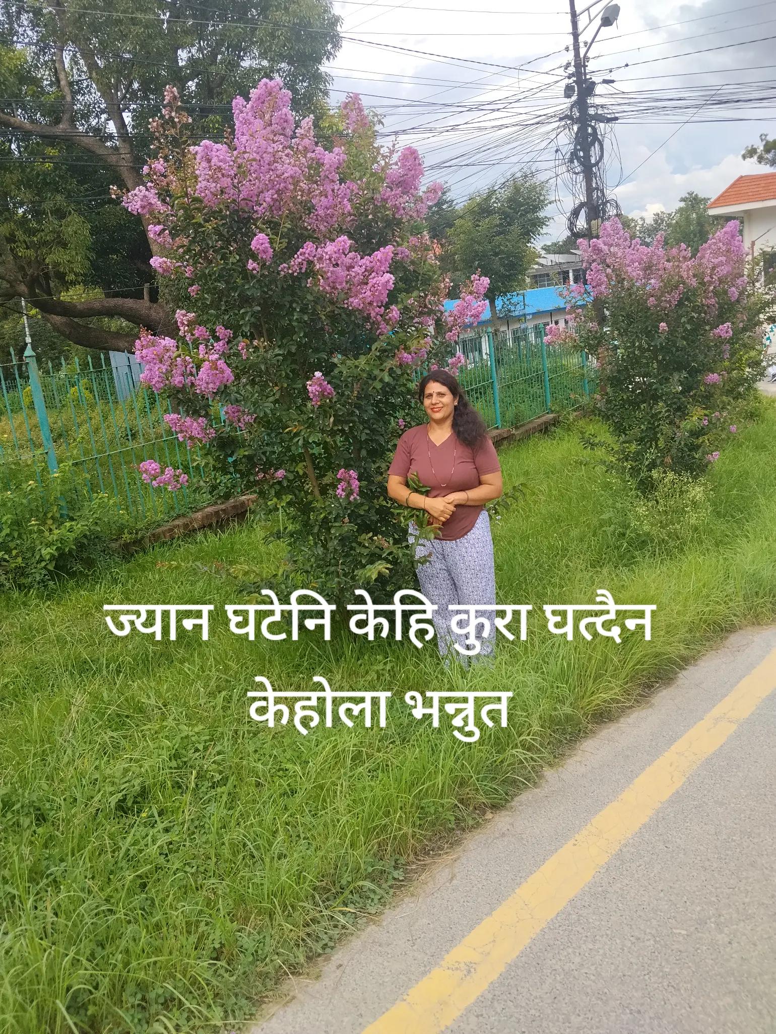 @Durga Paudel Timalsi