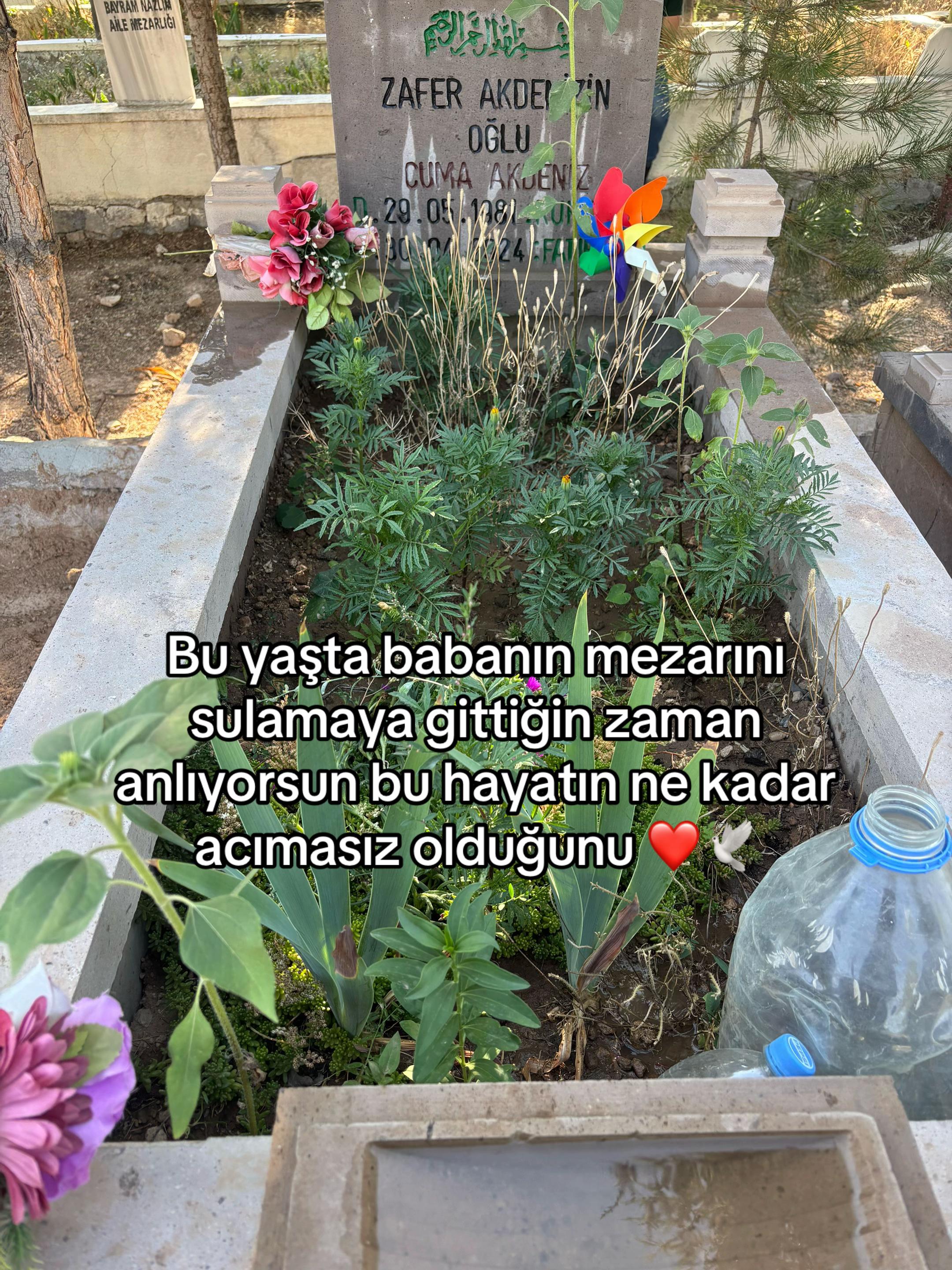 @aycaakden1zz