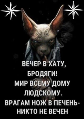 @тгк exopillgod