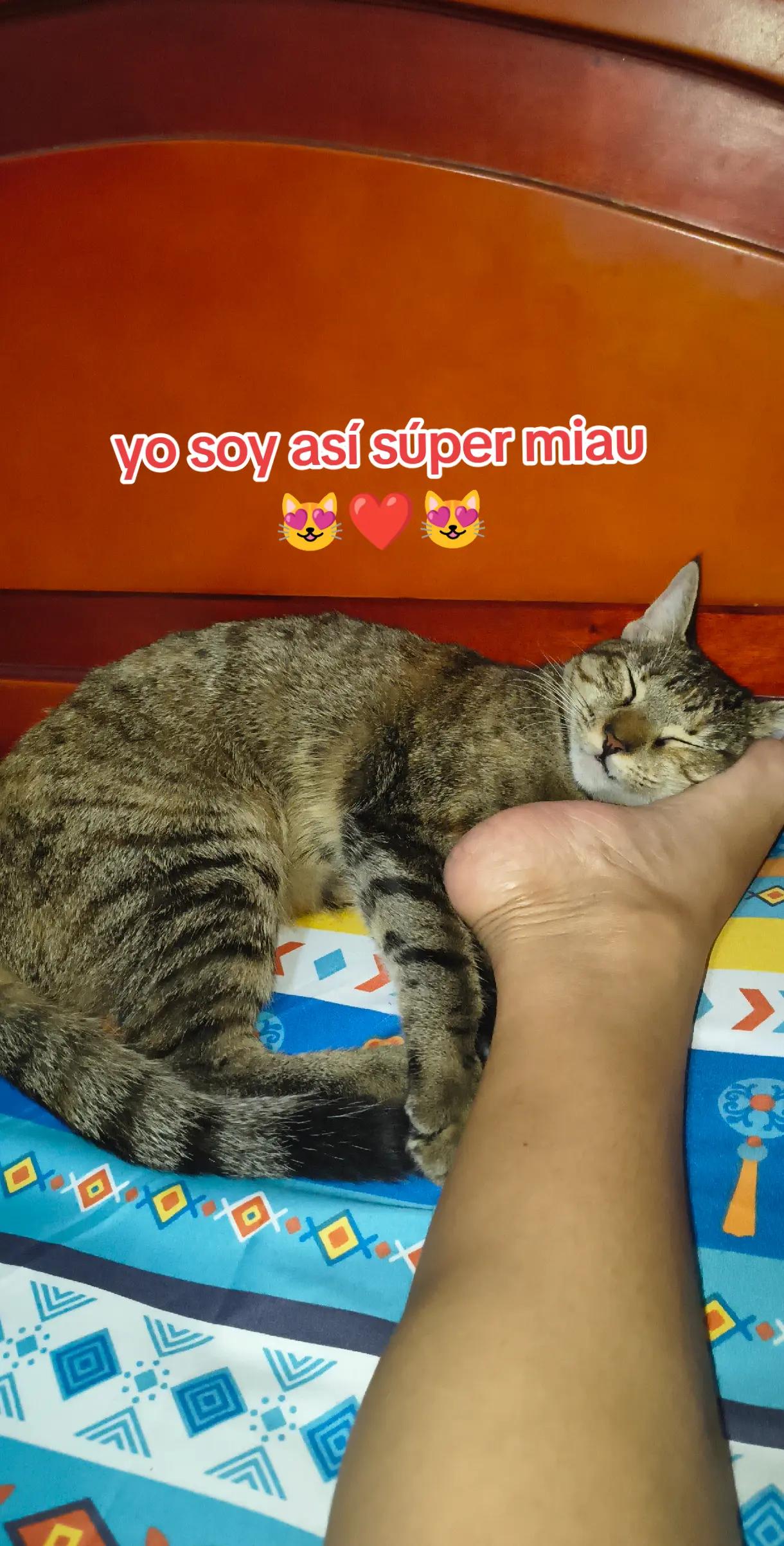 @Geraldine Rios ๐ฆ๐ป444๐ป๐ฆ