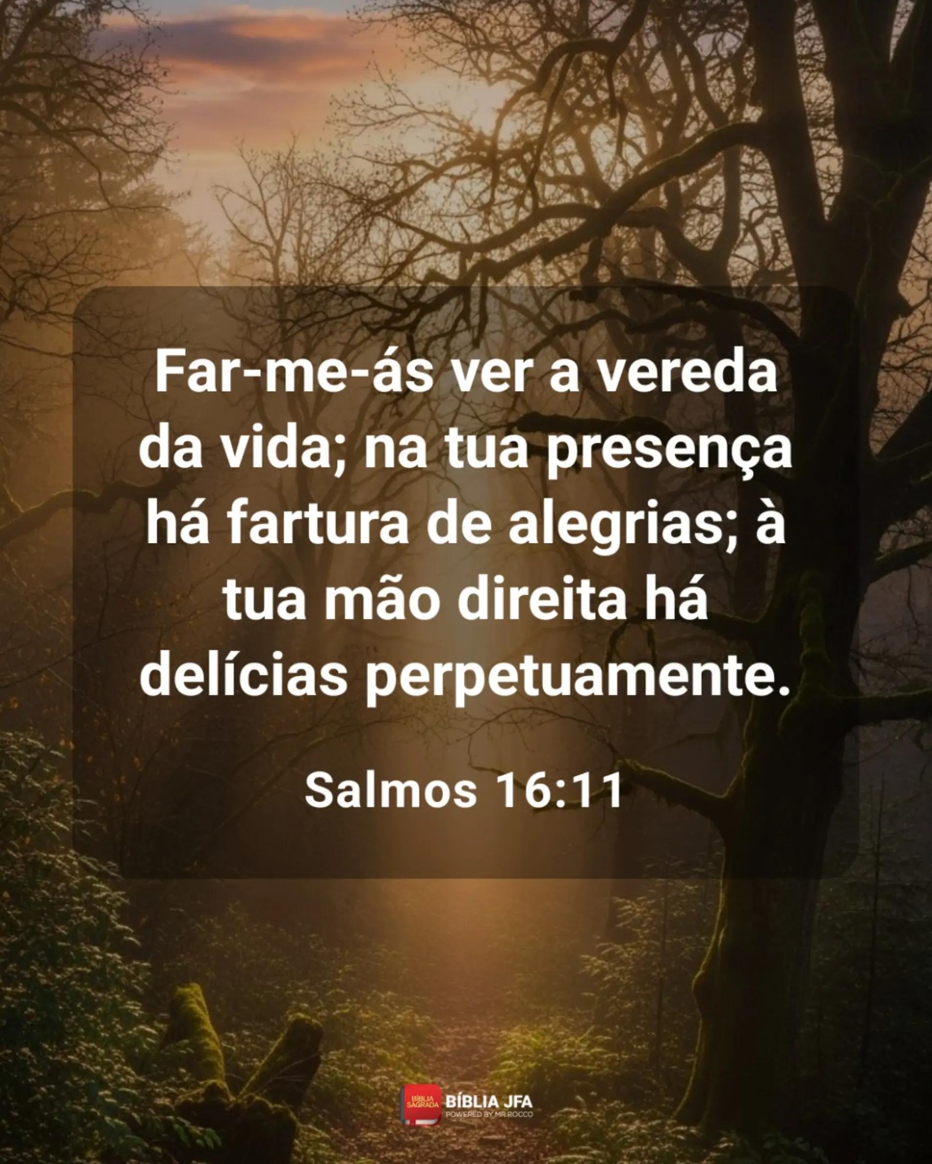 @Odair Chagas