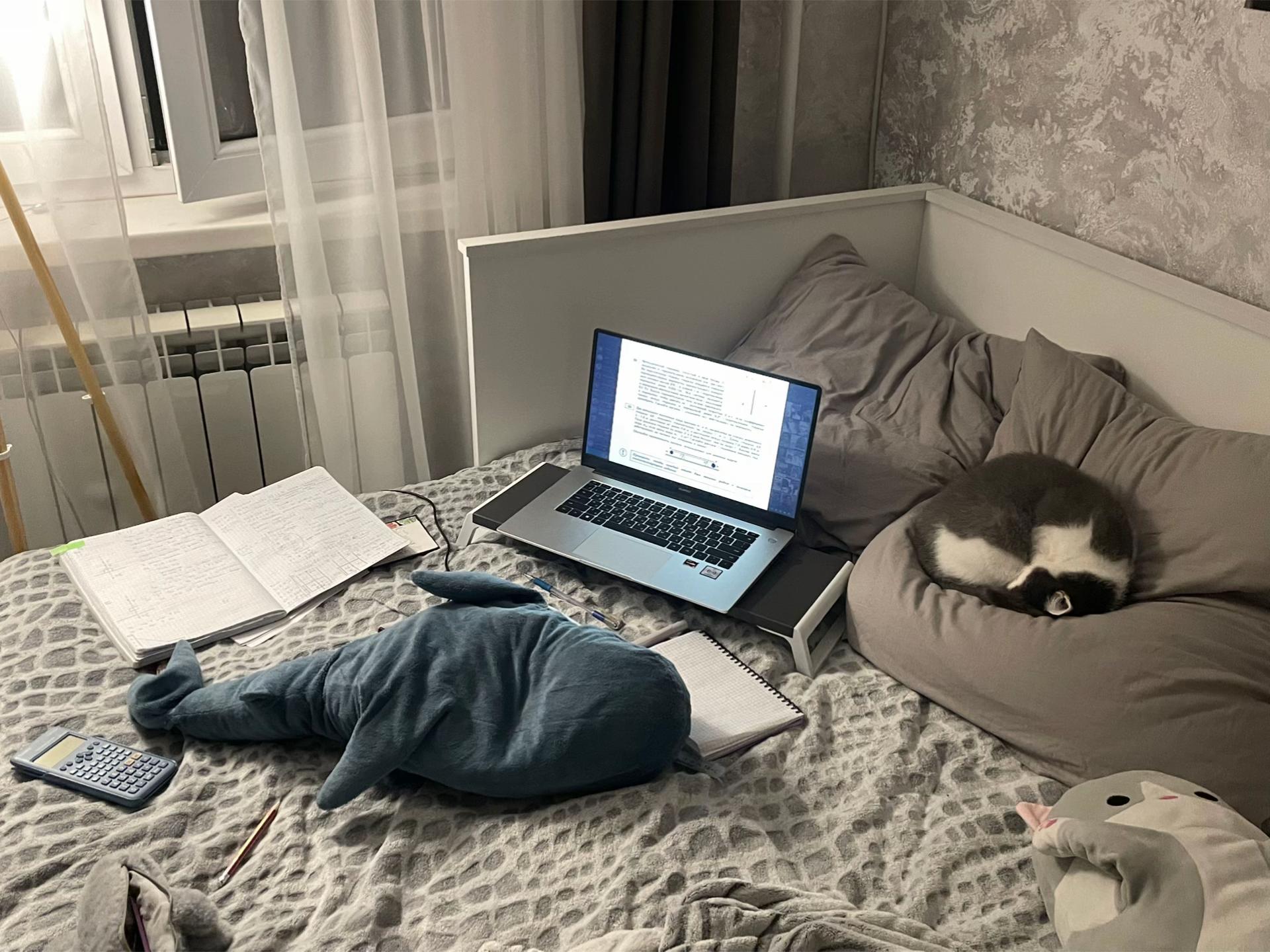 @ктя💤