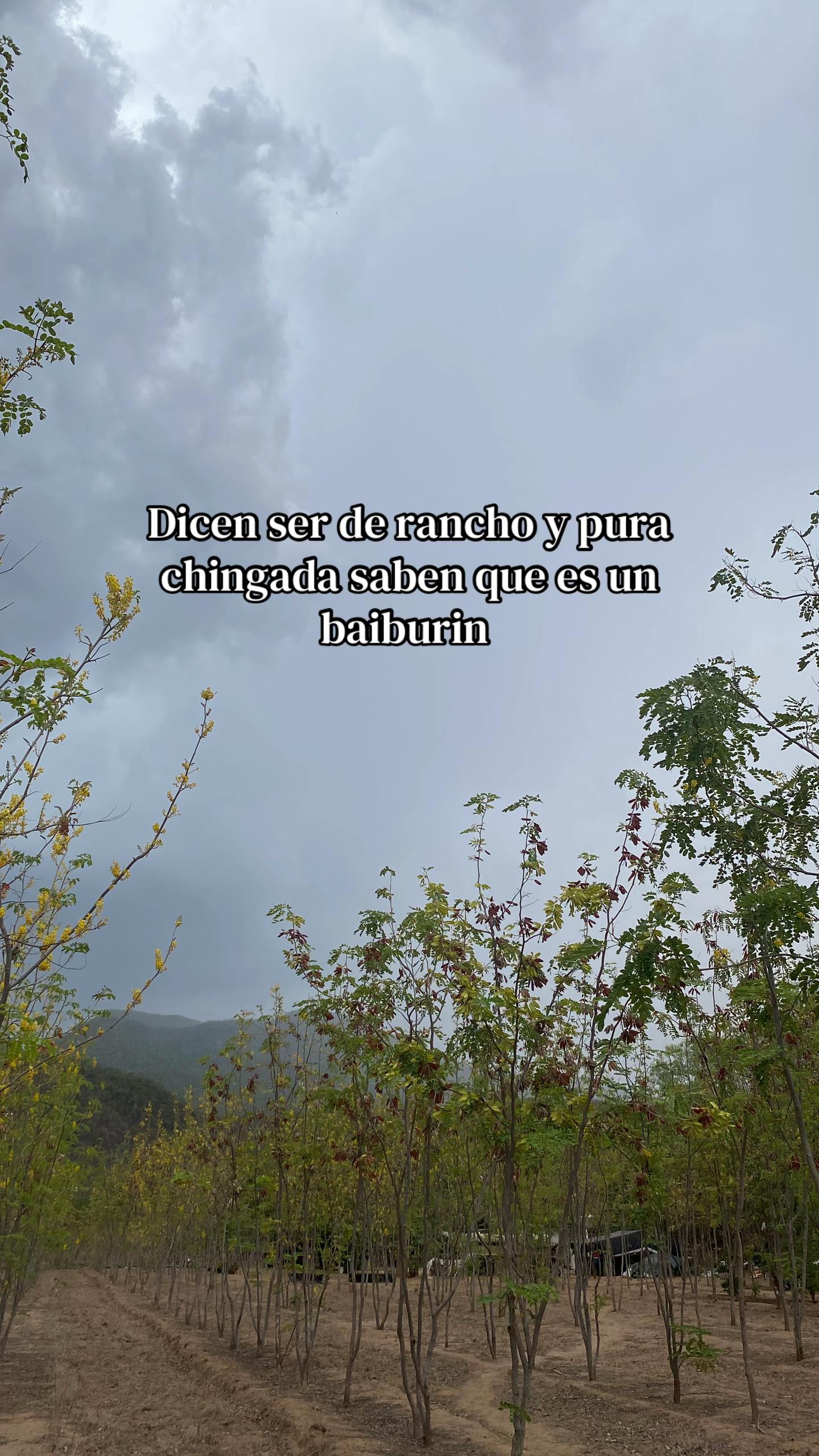 @yudith_20v🌨️