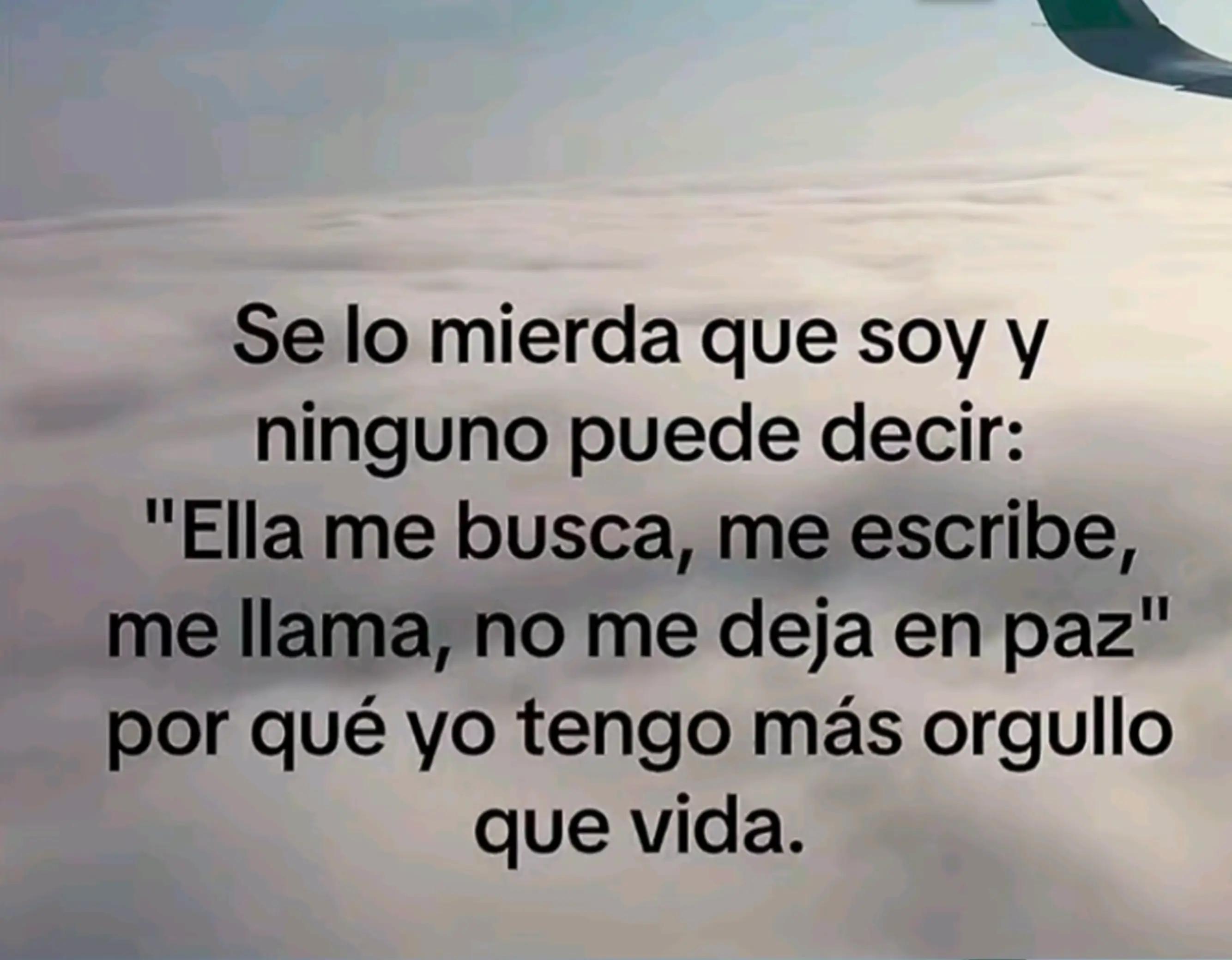 @Shantal Diaz