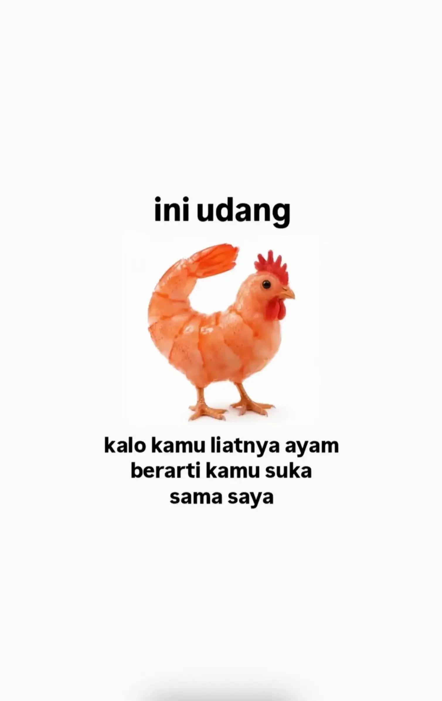 @raja mobil.pekanbaru