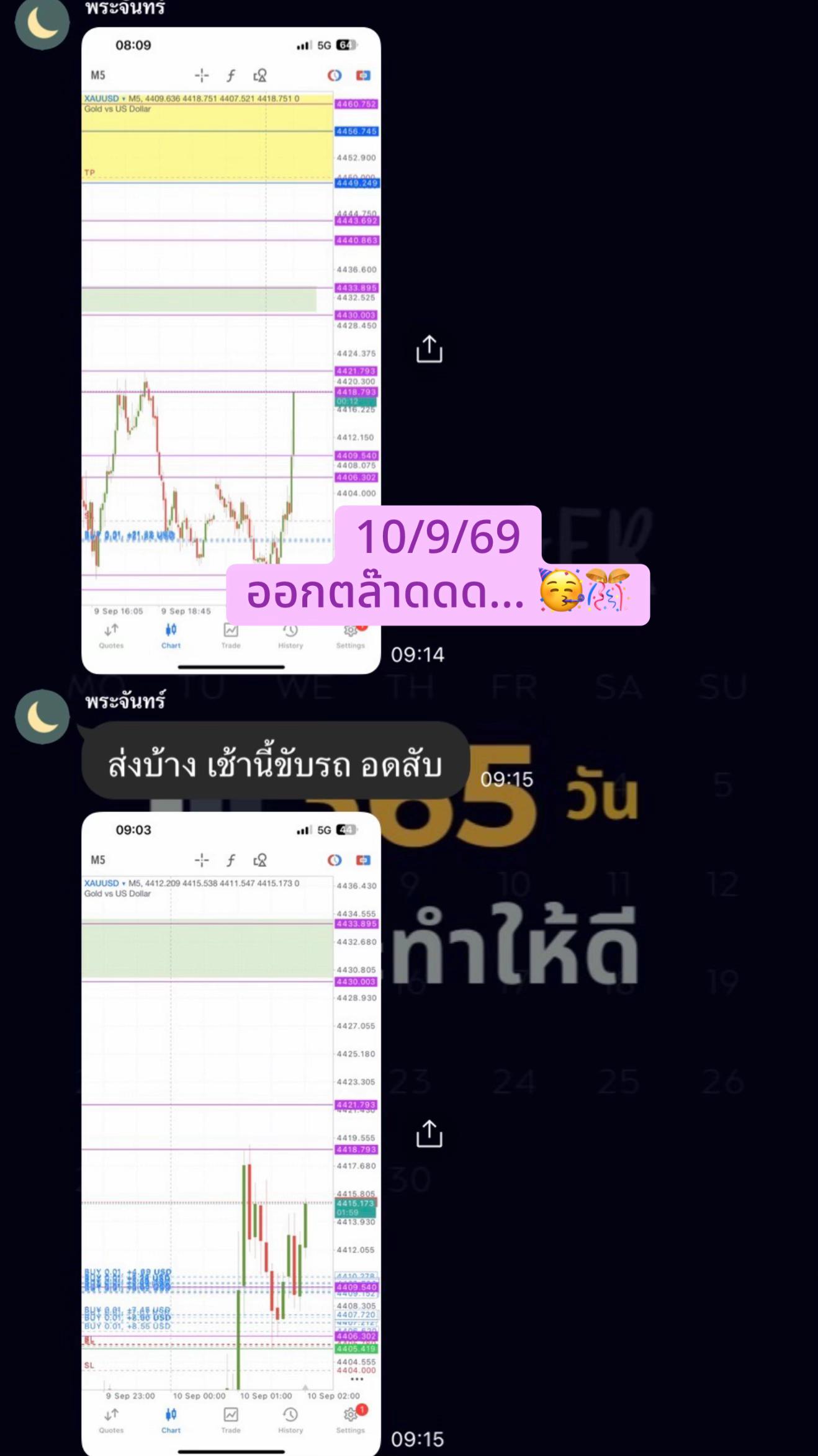 @อนุบาลหมีน้อยเทรดเดอร์🧸