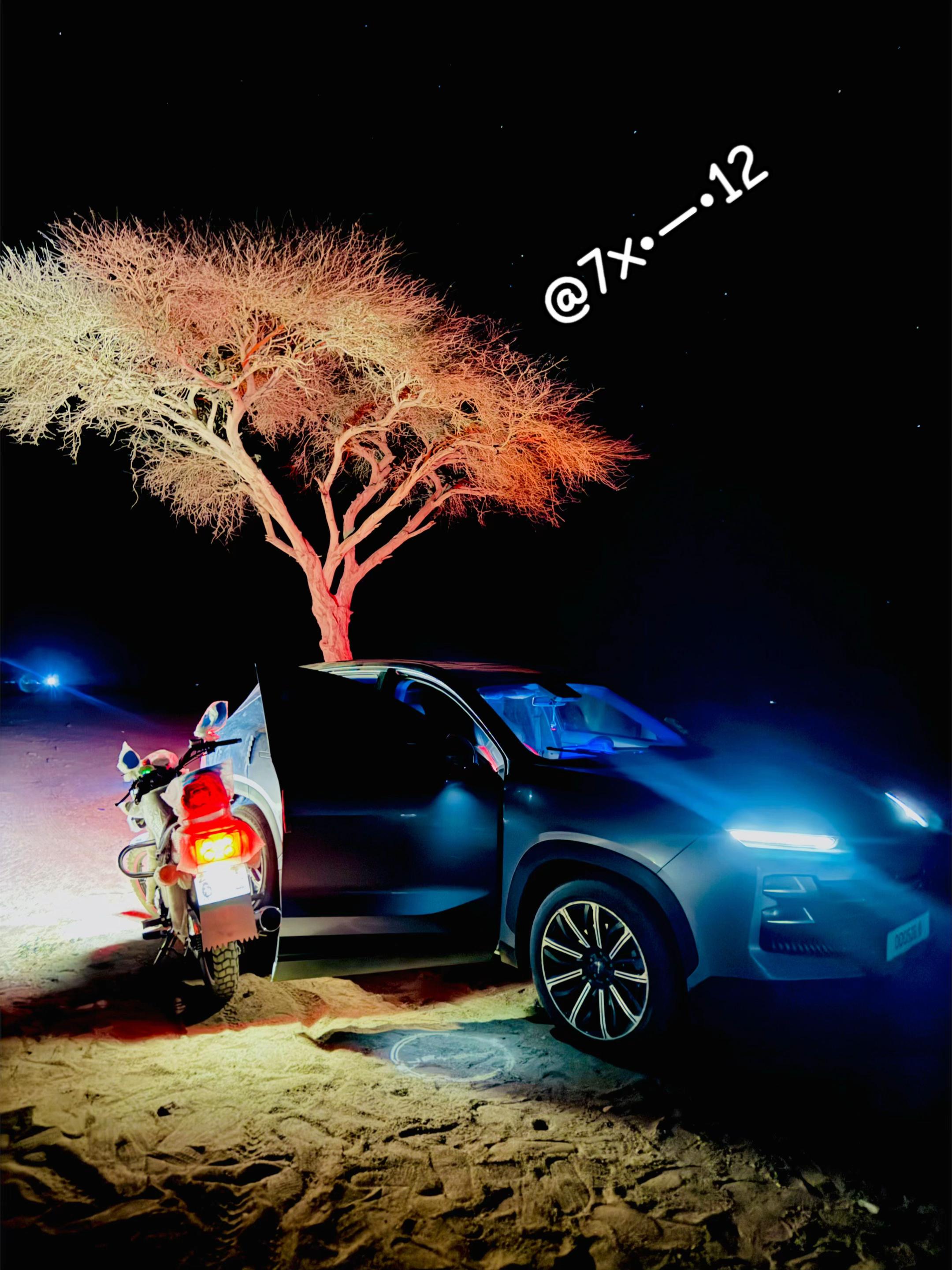 @ملك الزعامة 🦅📸🎥🎞️
