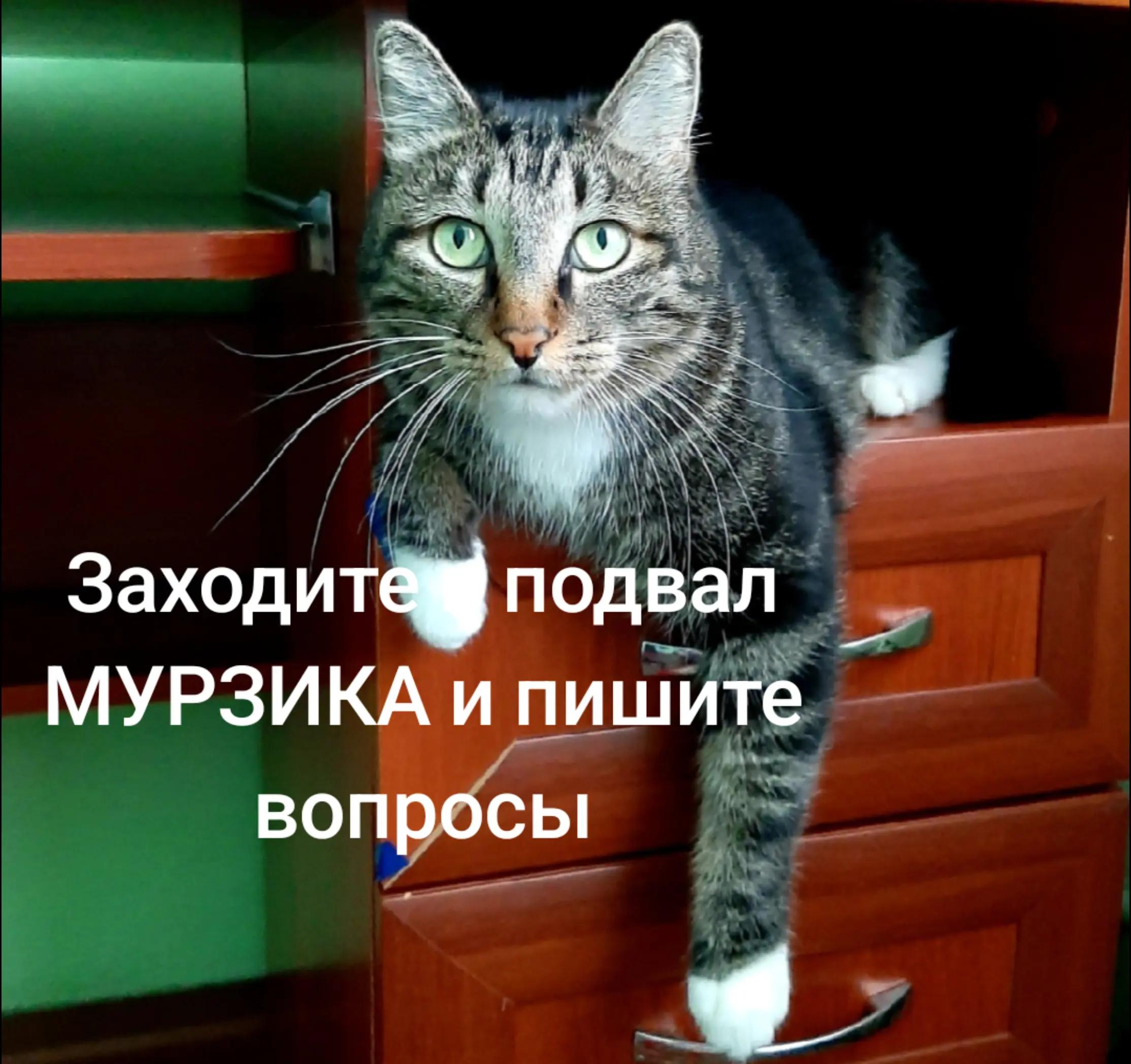 @Подвал МУРЗИКА