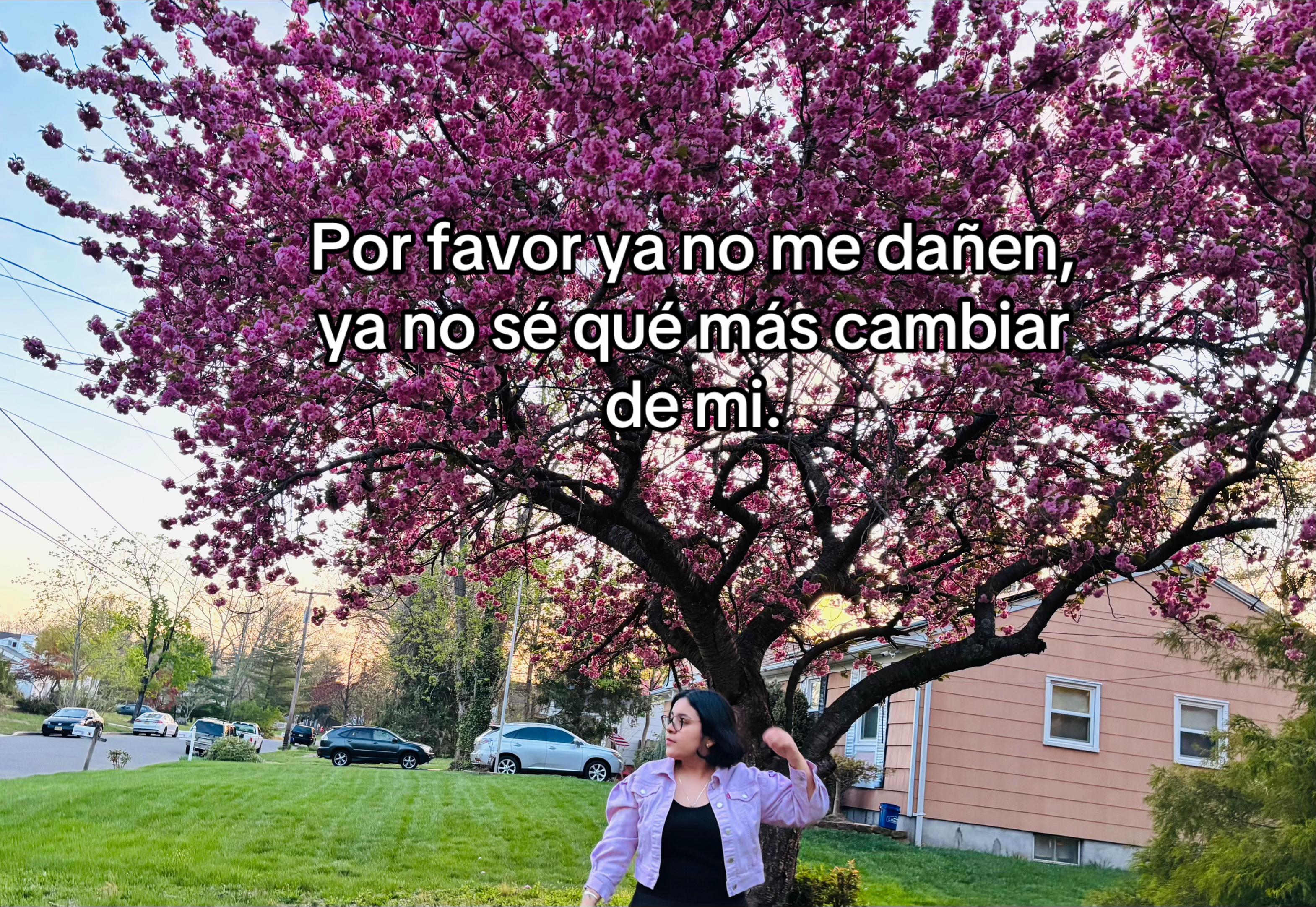 @Anette Rosas