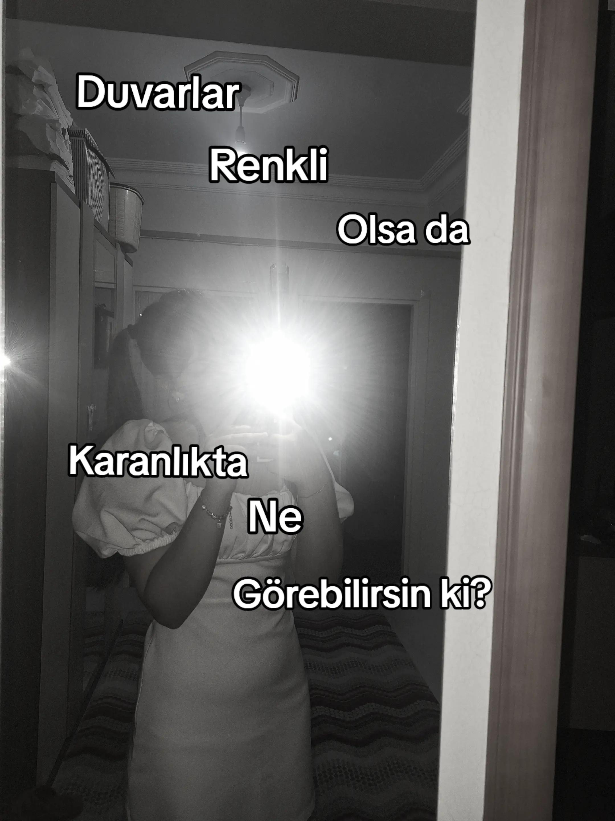 @nimeryx🖋