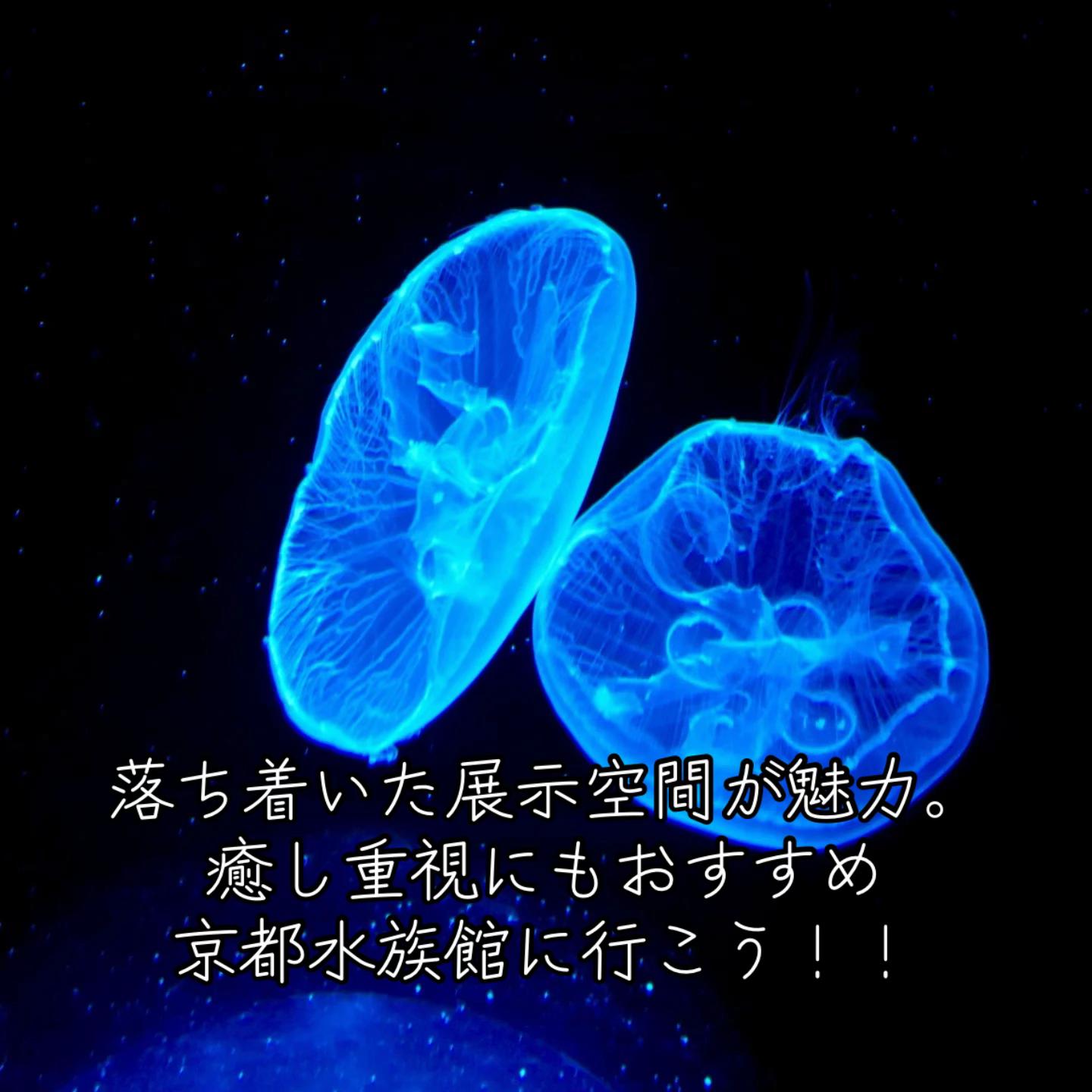 @闇夜の夜更かしバリトン