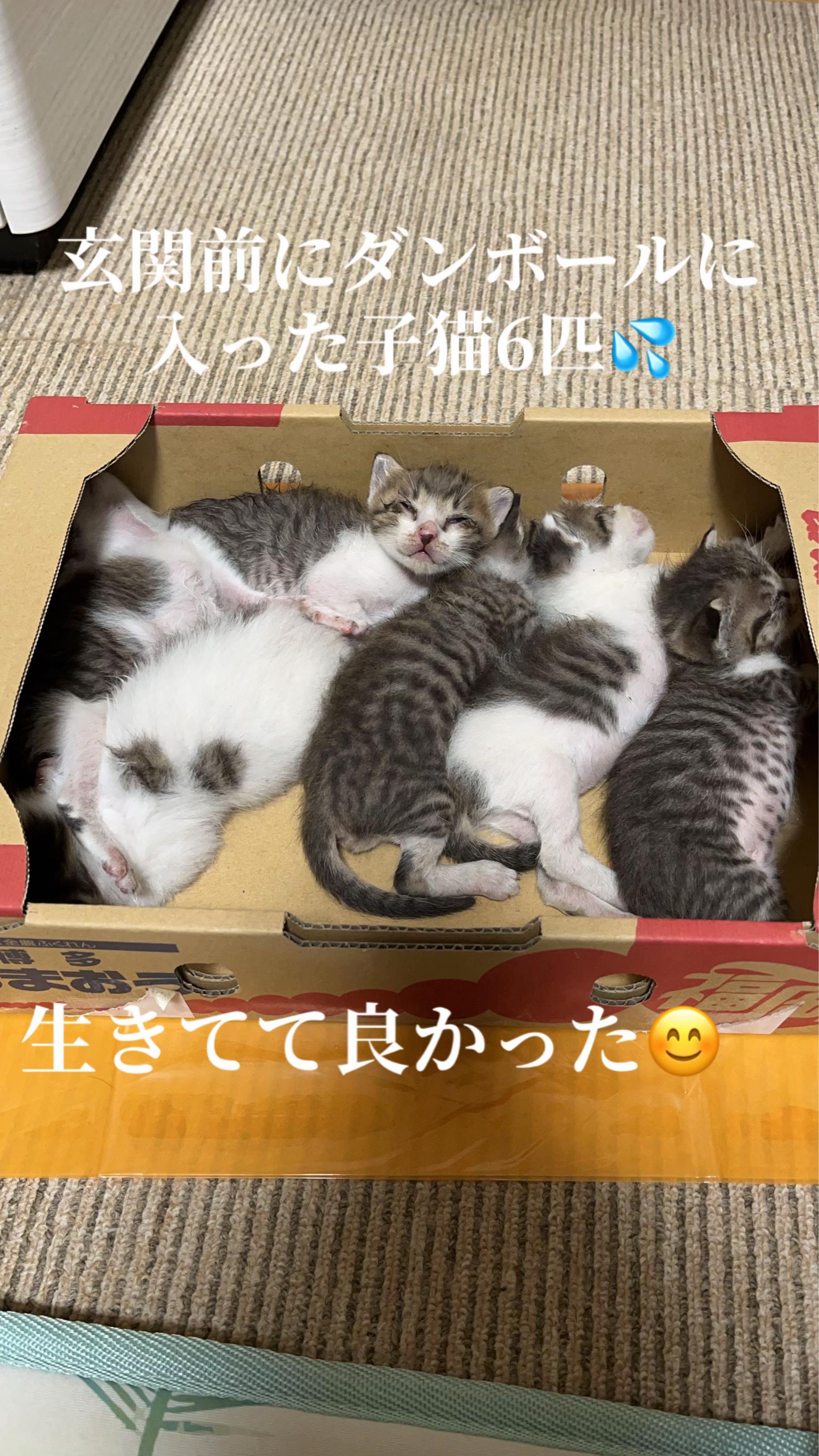 @♪♪ナォ♪♪