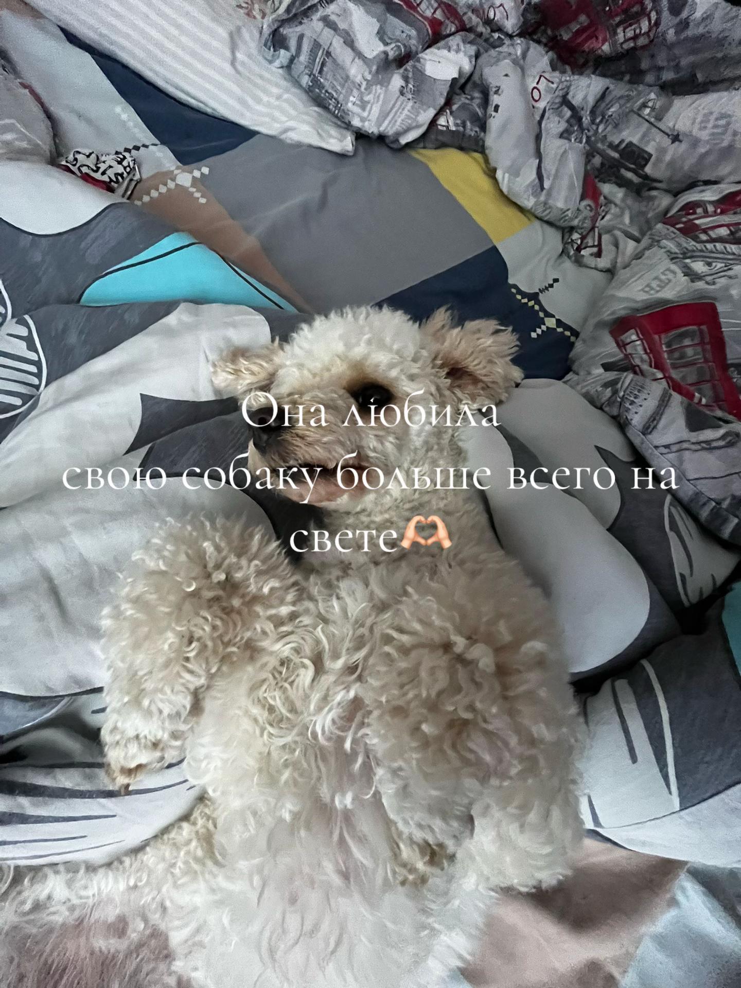 @Уля