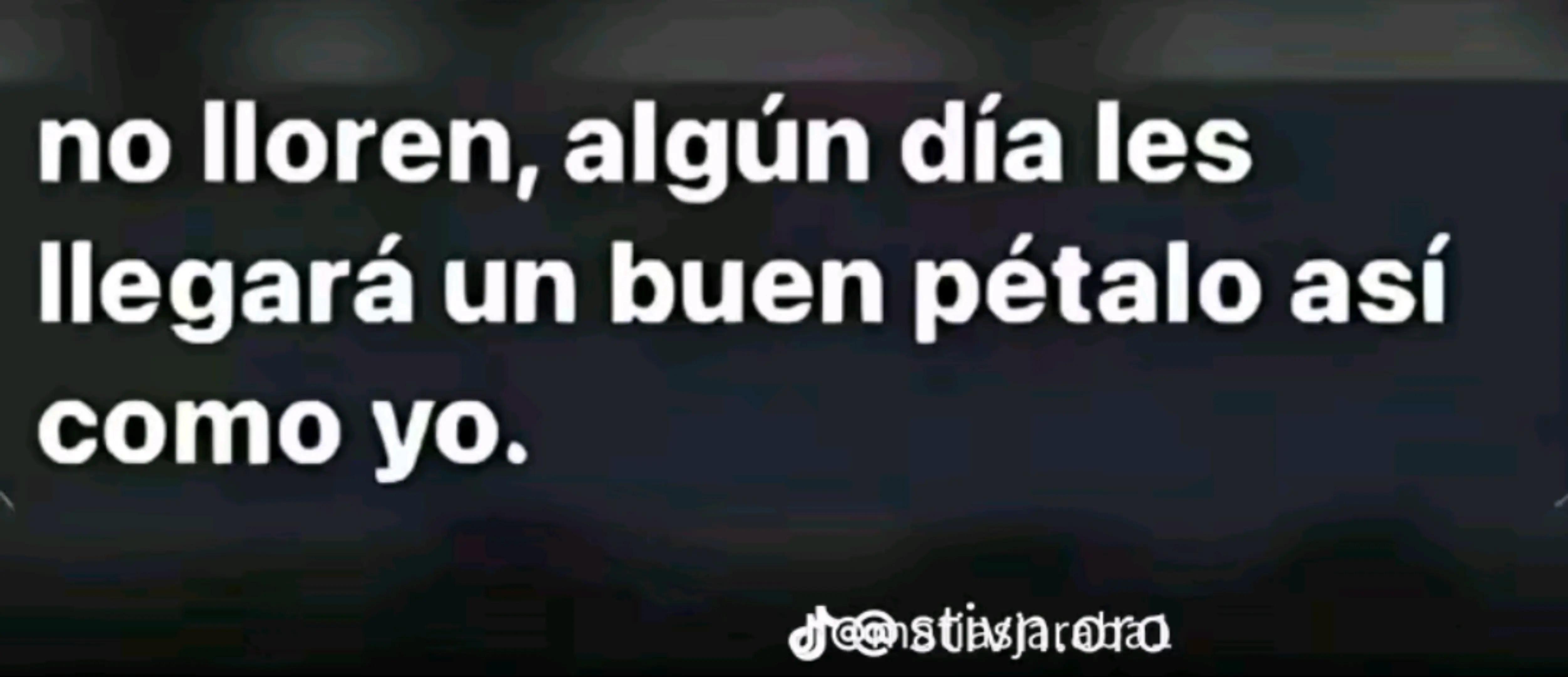 @2014_ELLES
